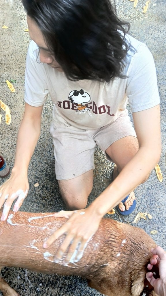 image-3