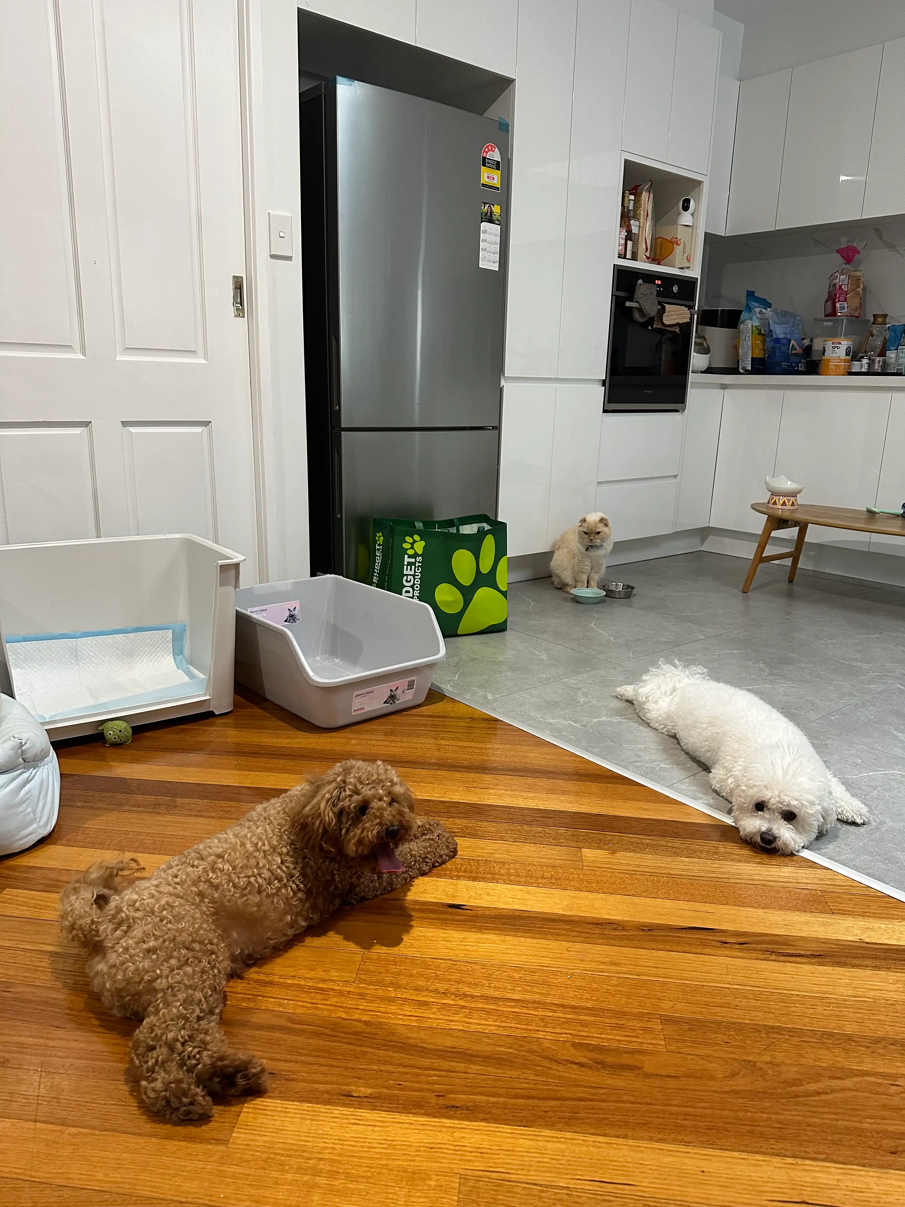 image-16