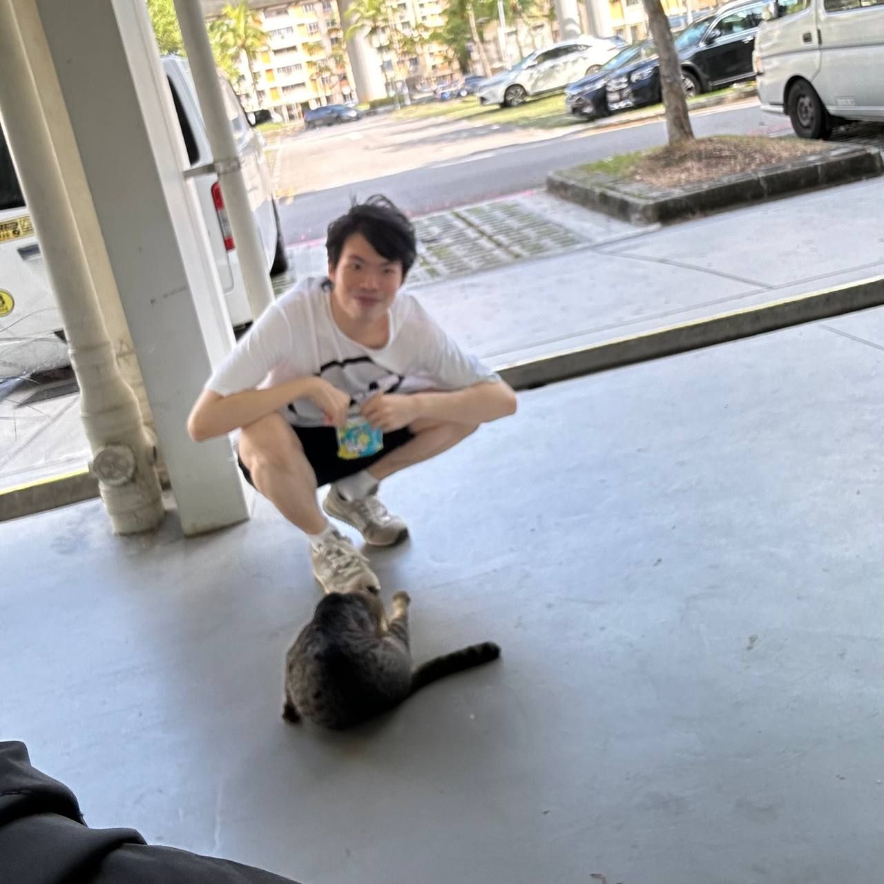 image-12