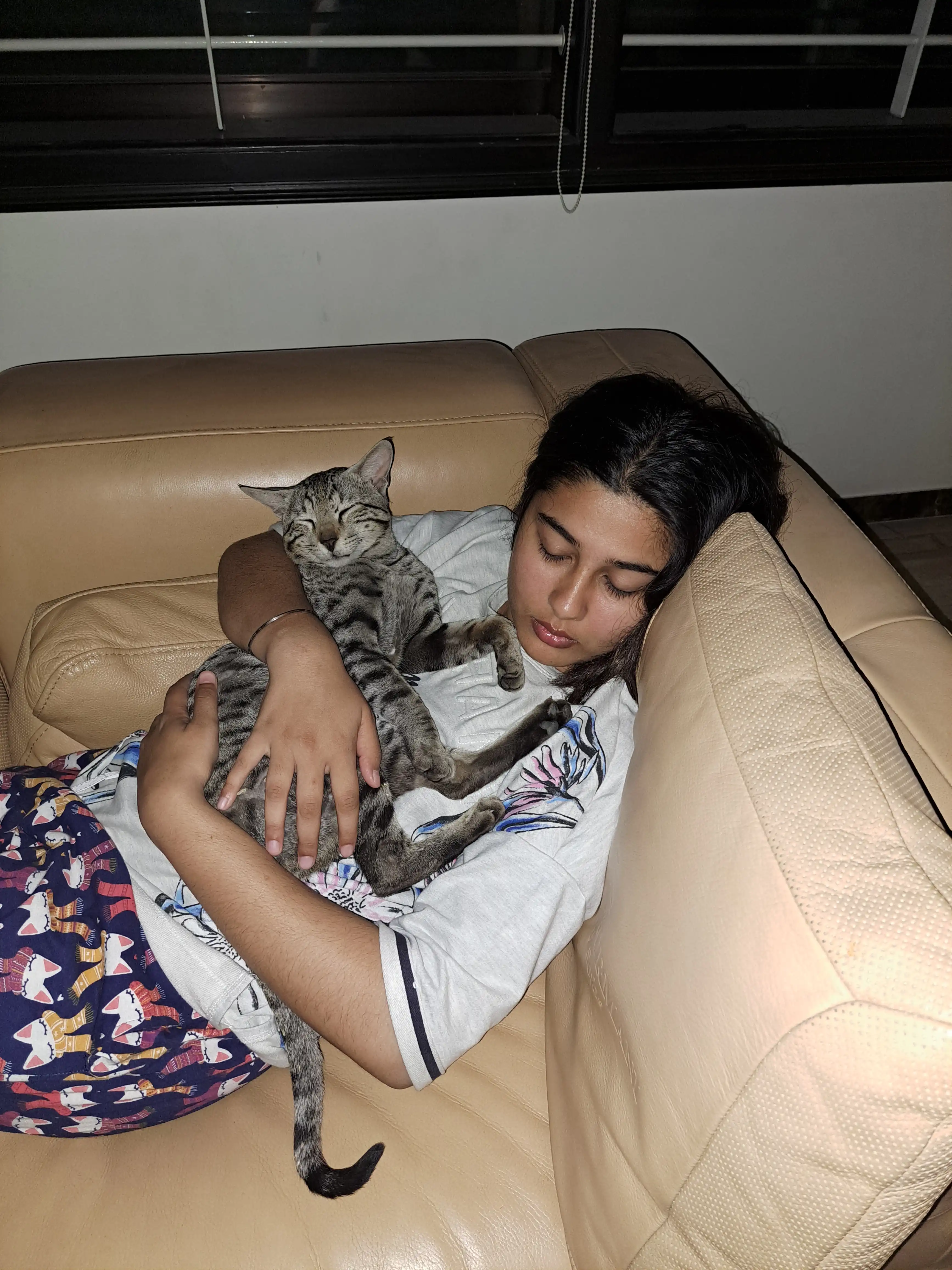 image-8