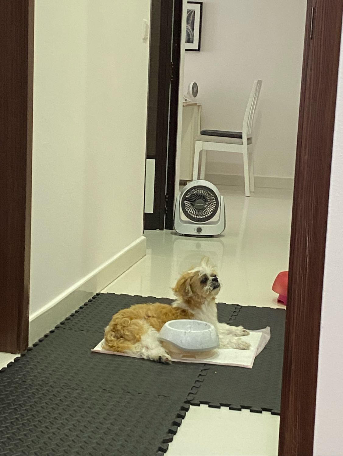 image-19