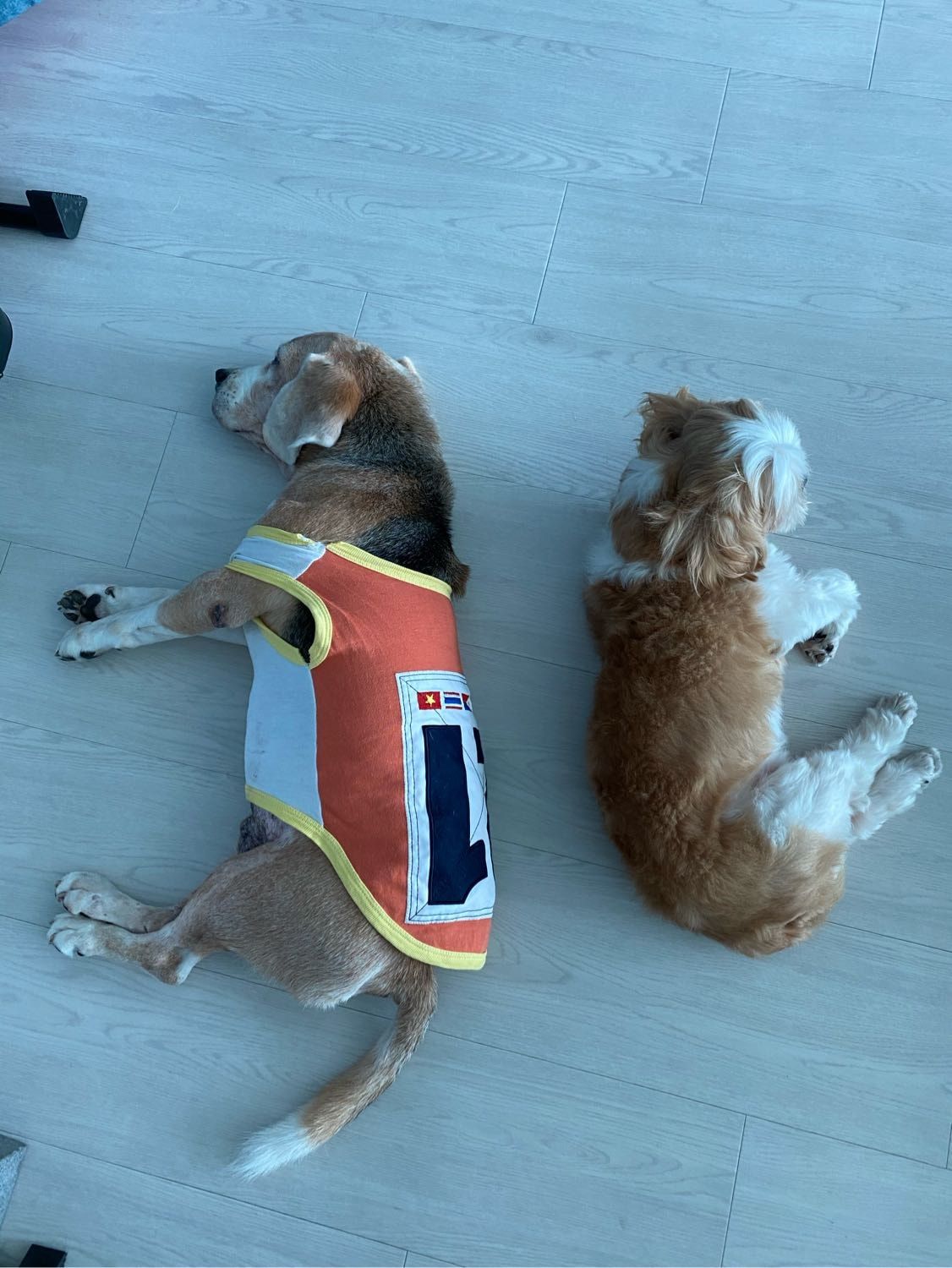 image-10