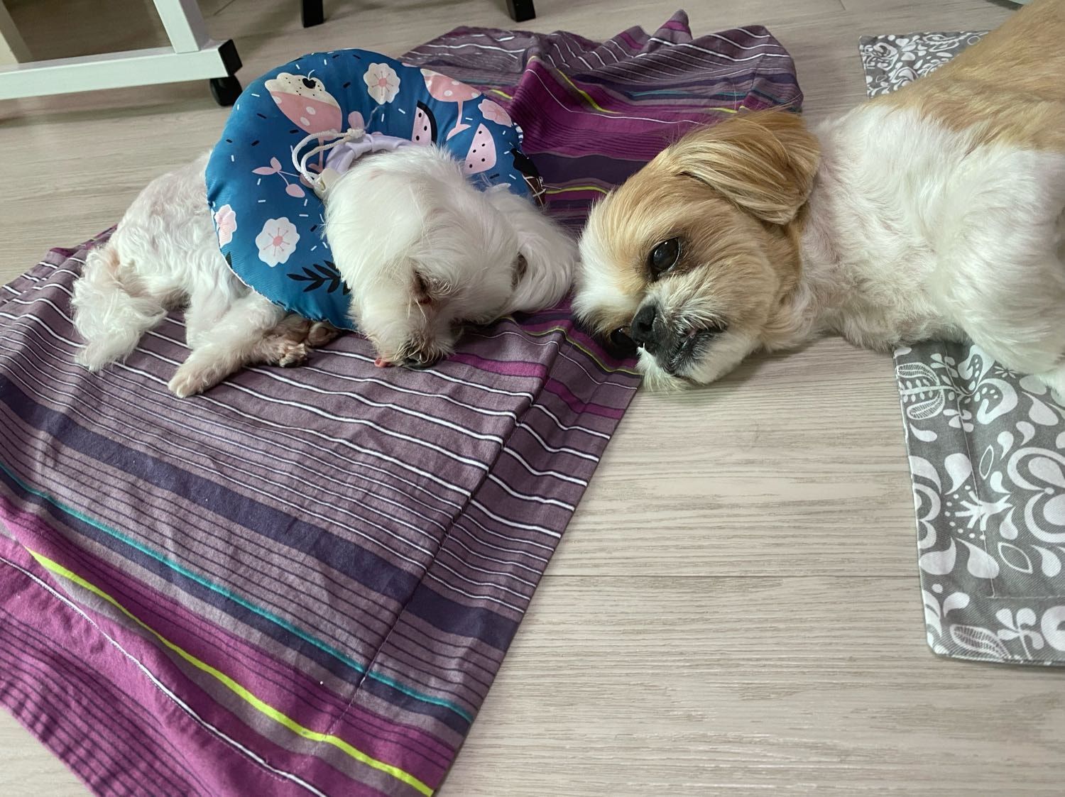 image-4