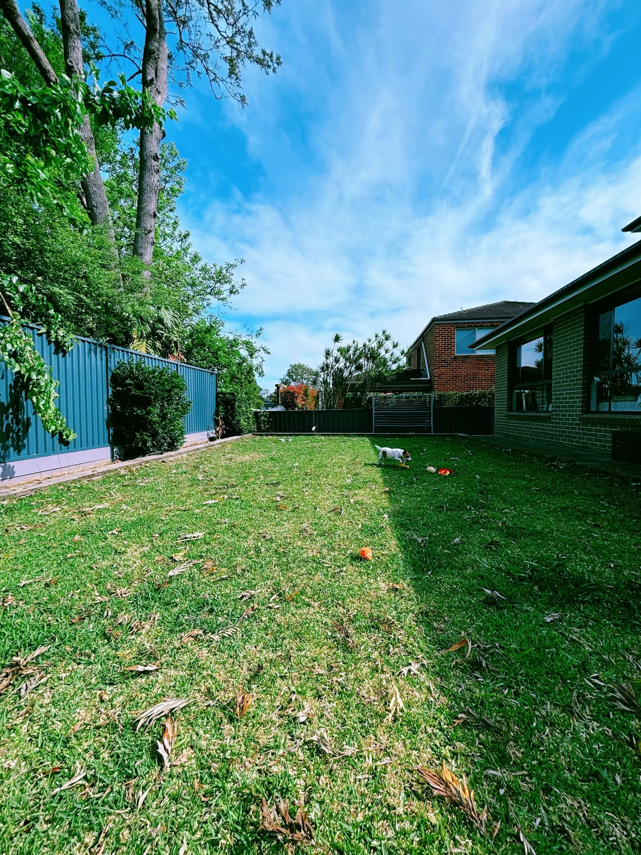 image-4