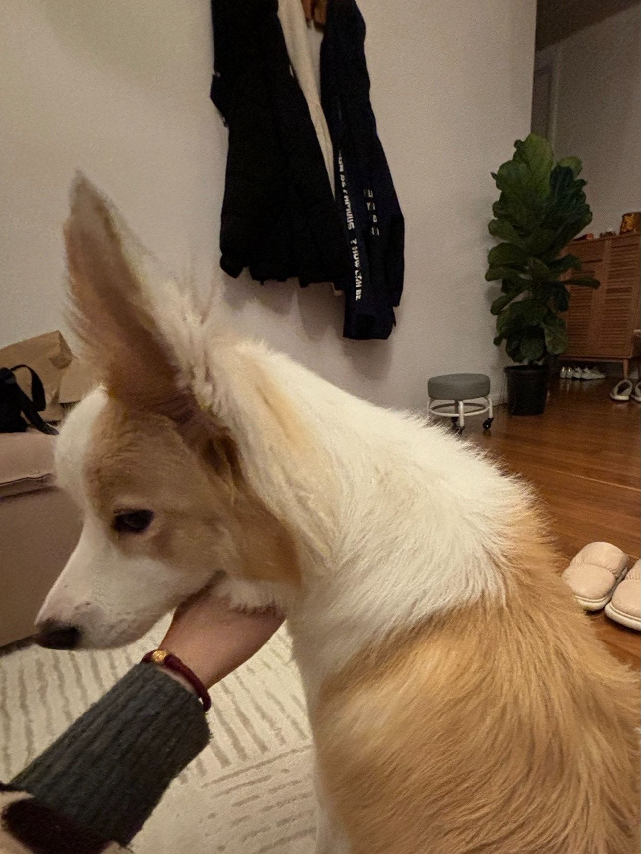image-17