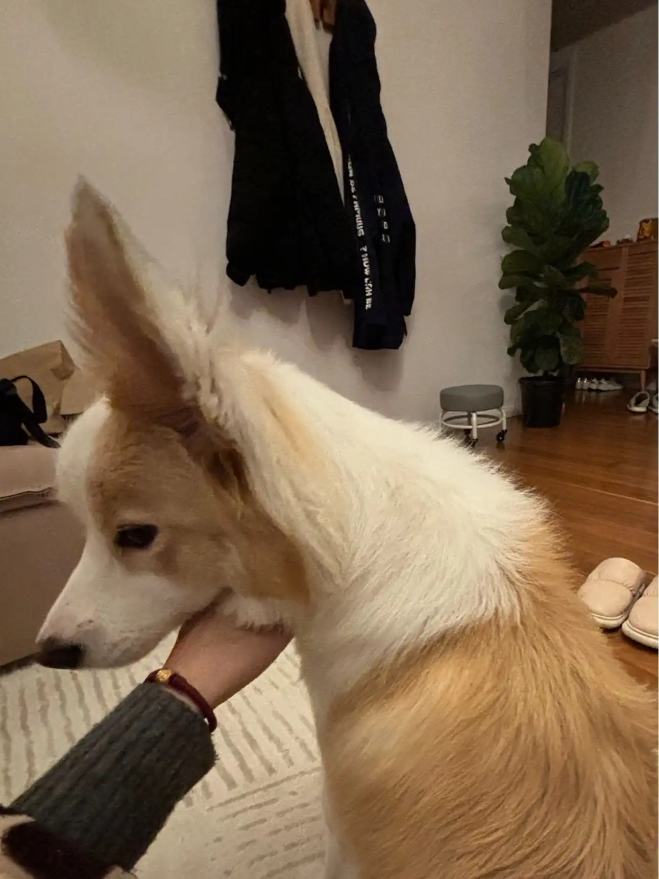 image-17