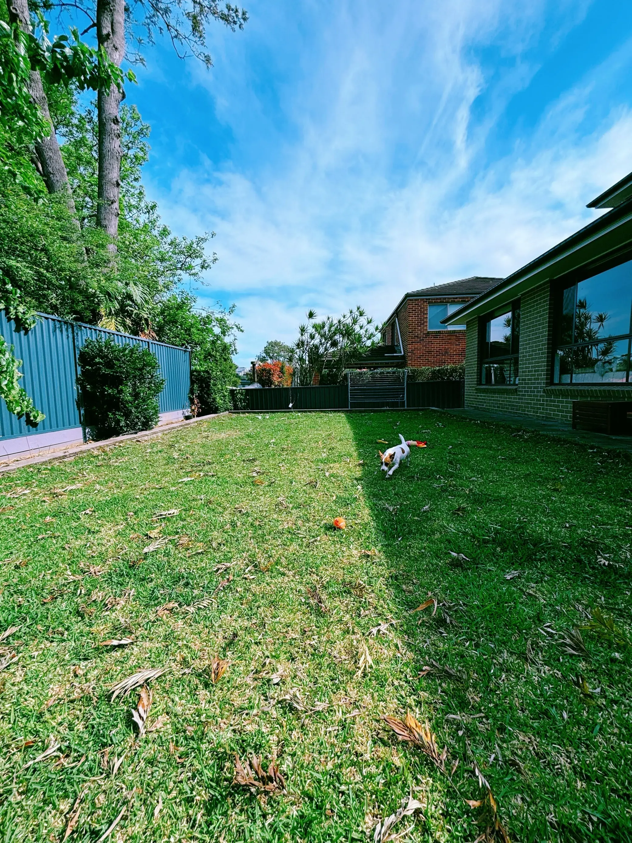 image-3