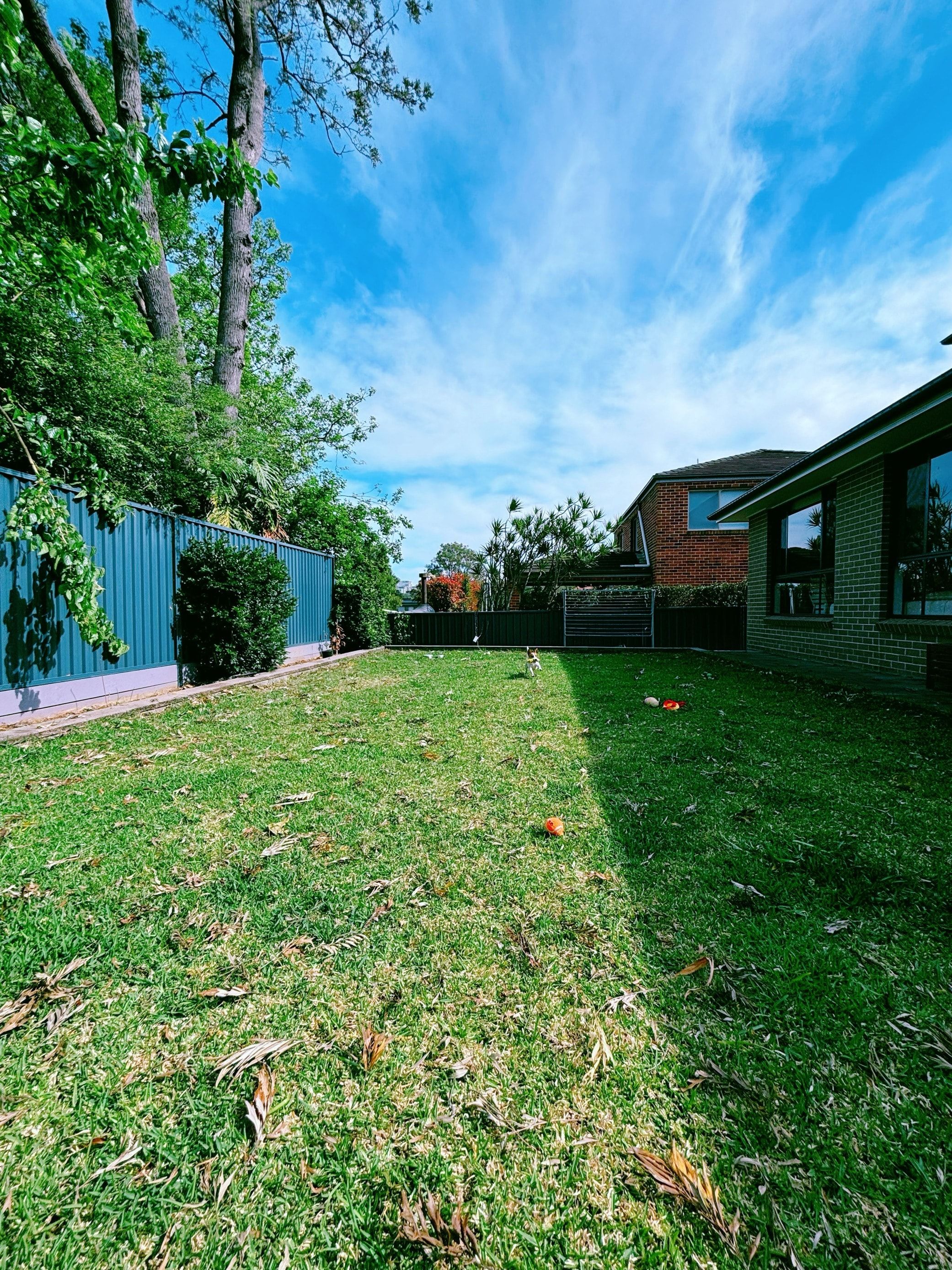 image-18