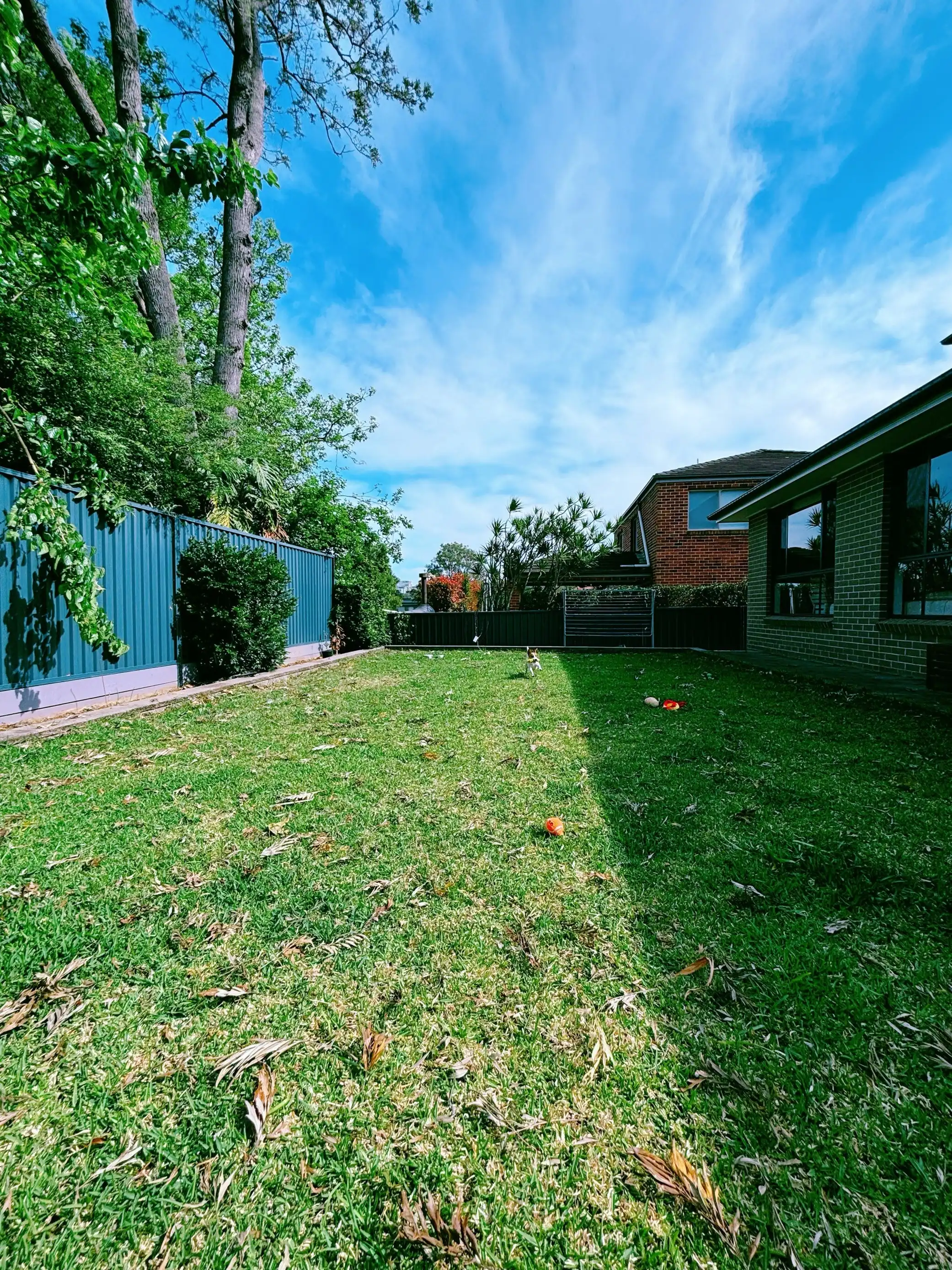 image-18