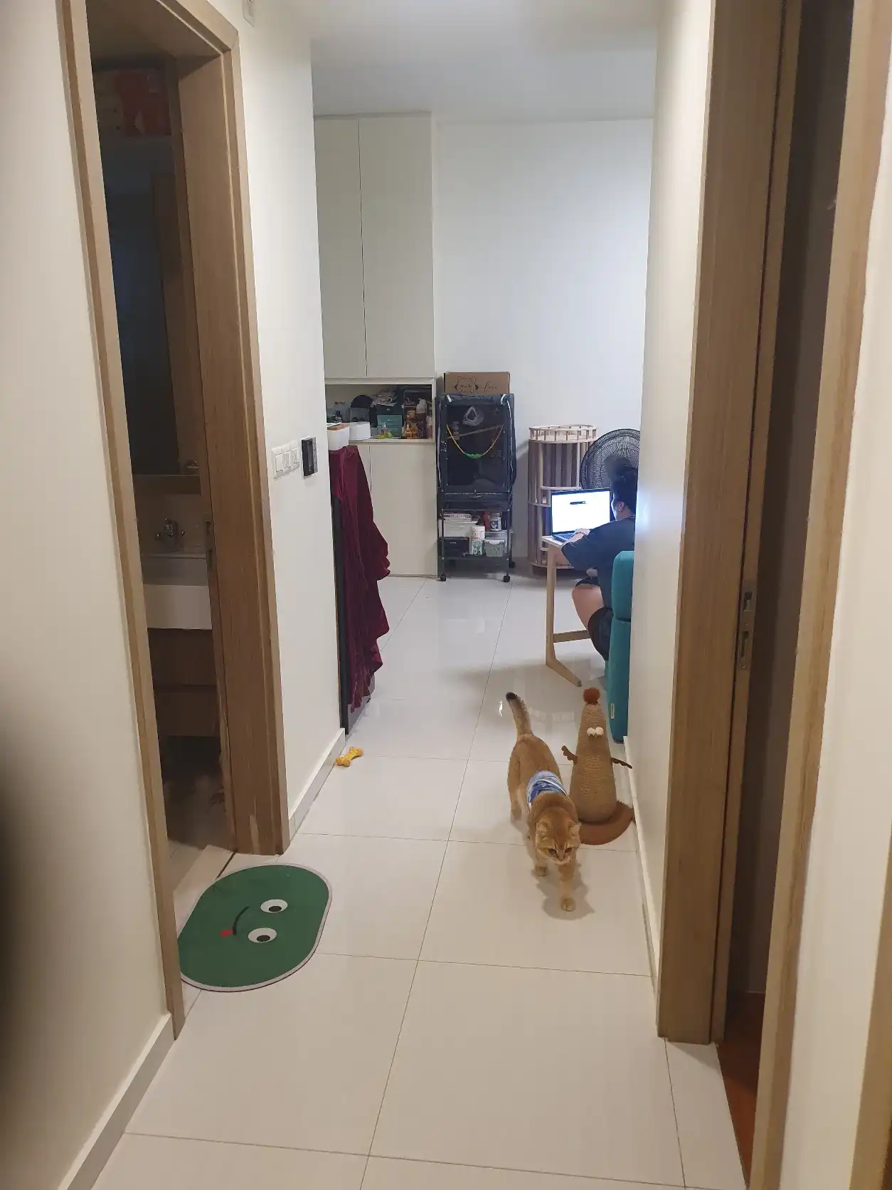 image-17
