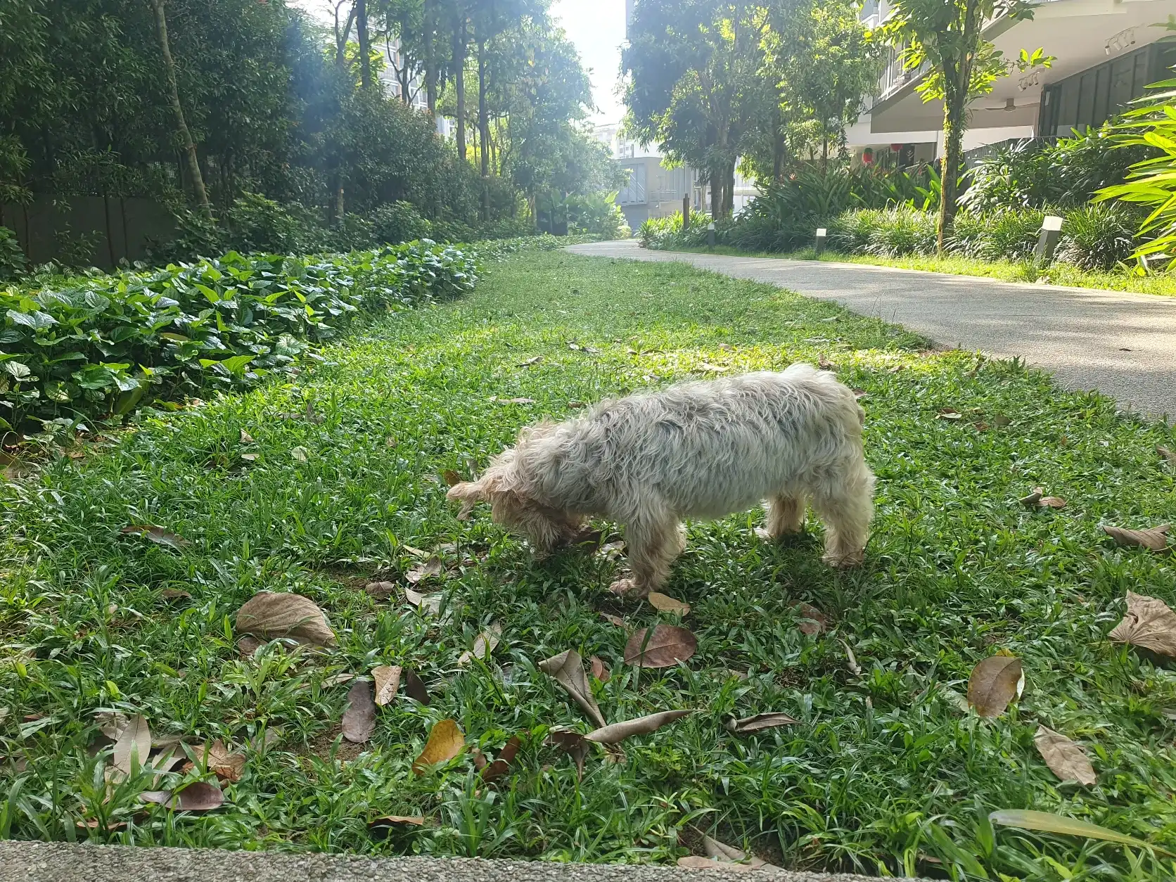 image-11