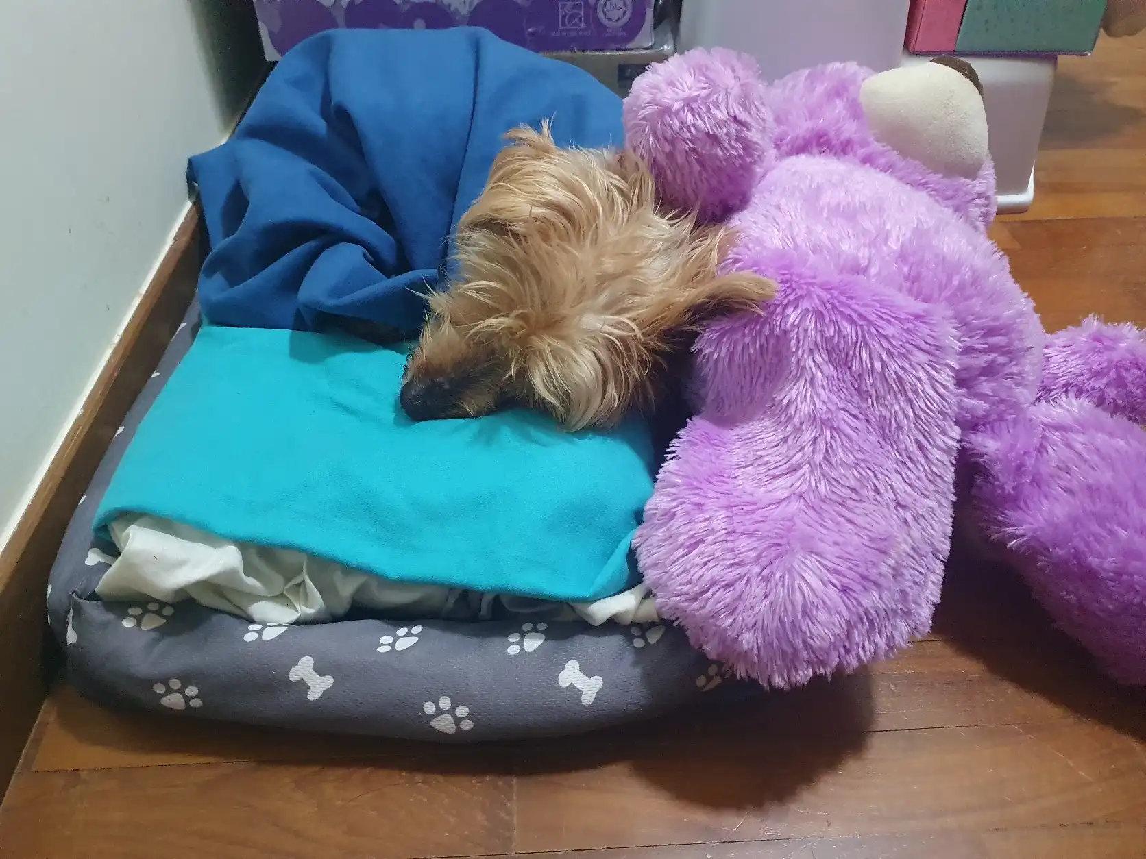image-8