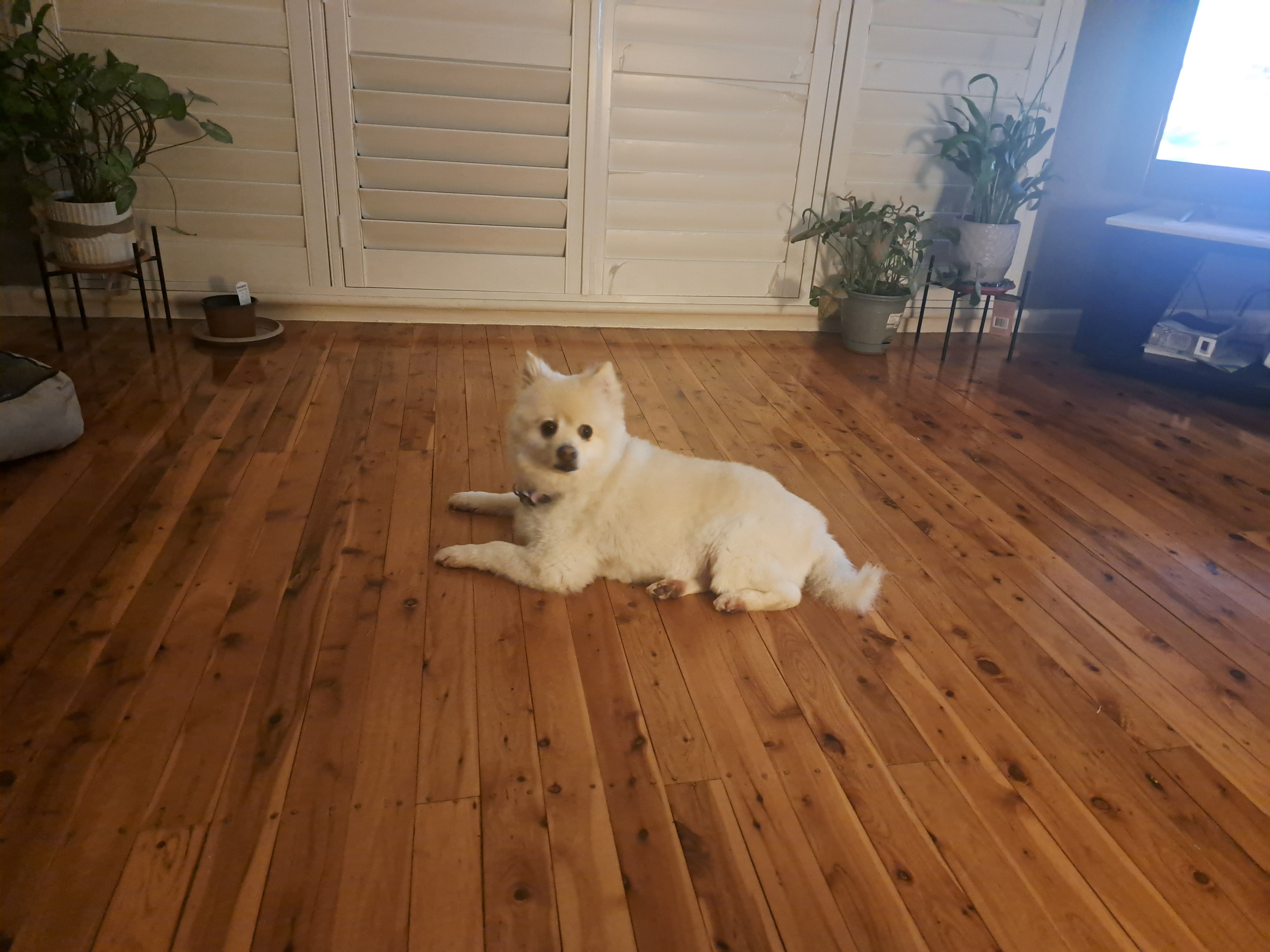 image-17