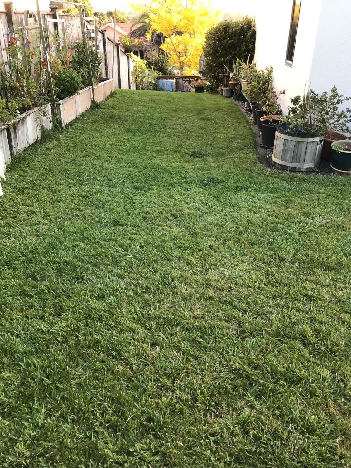 image-11