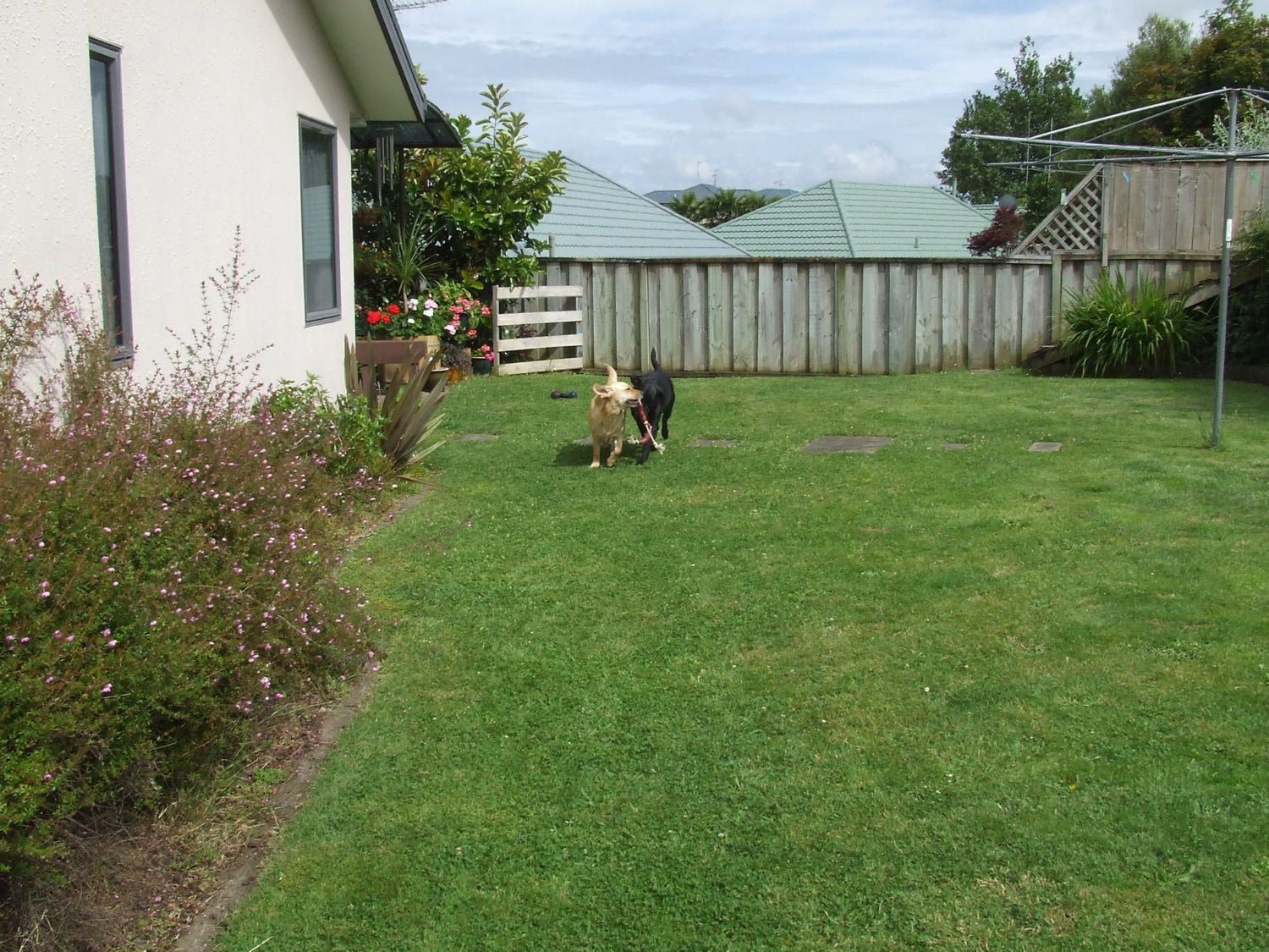 image-9