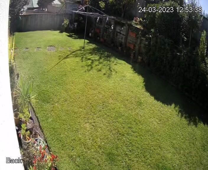 image-10