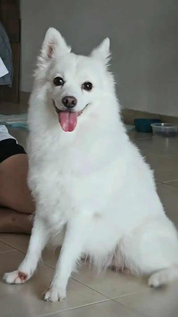 image-5