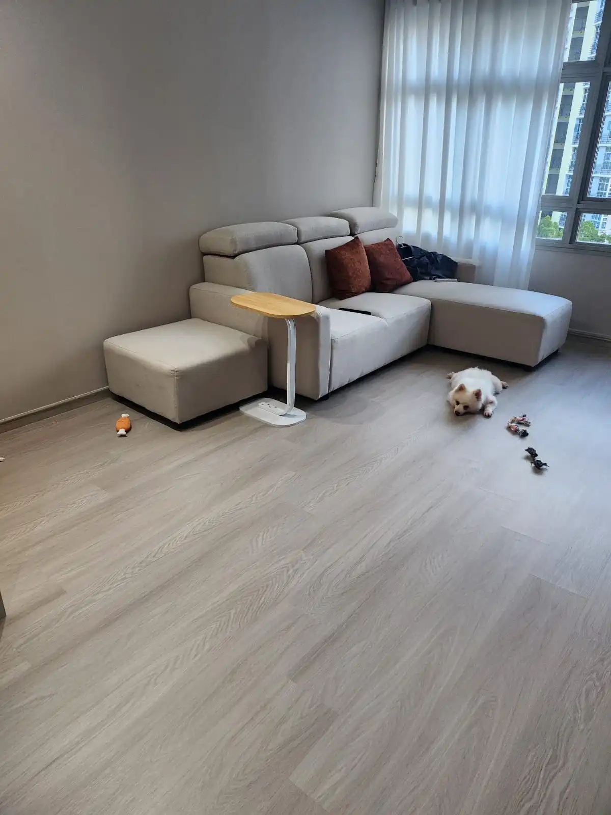 image-15