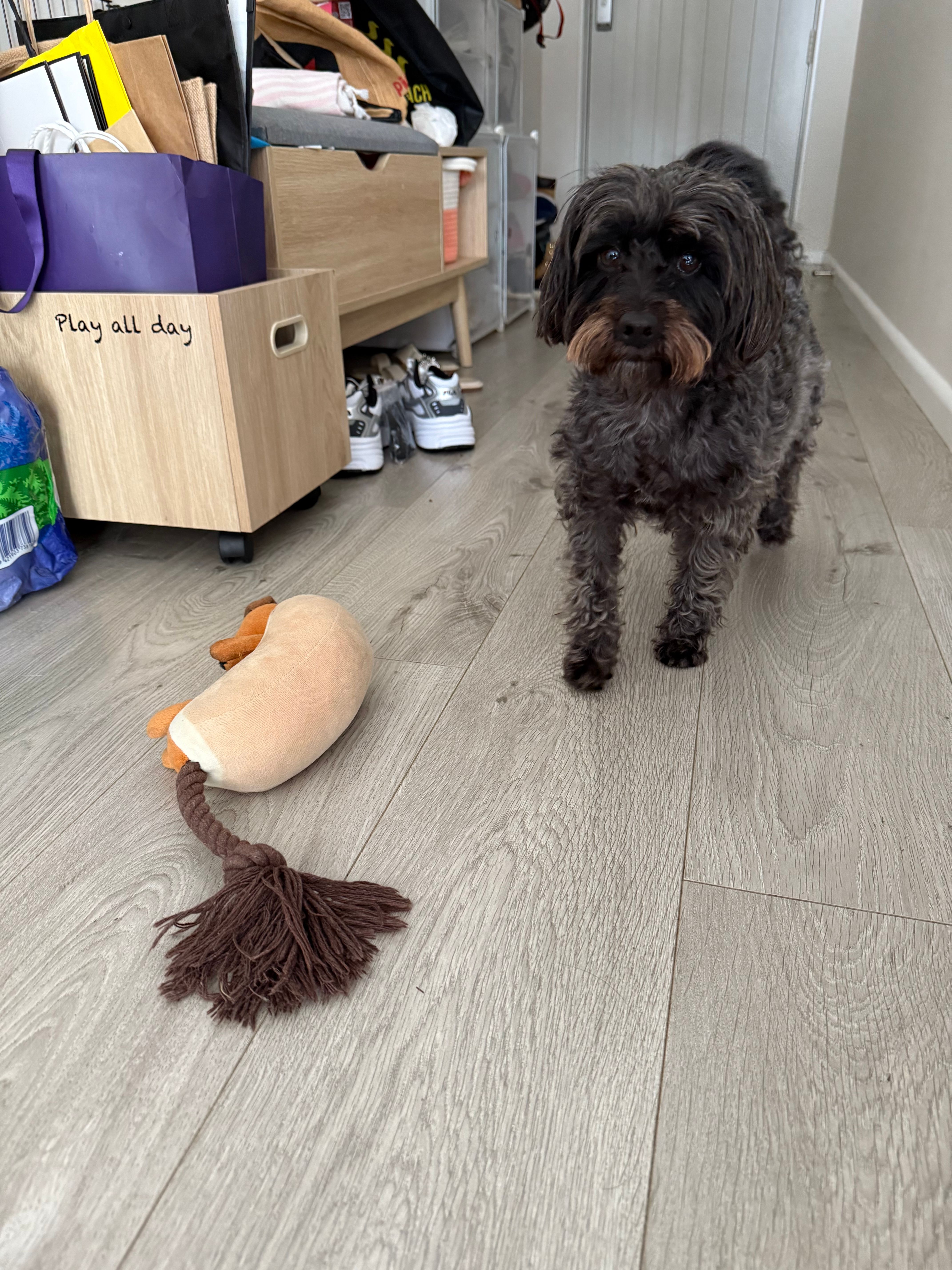 image-13