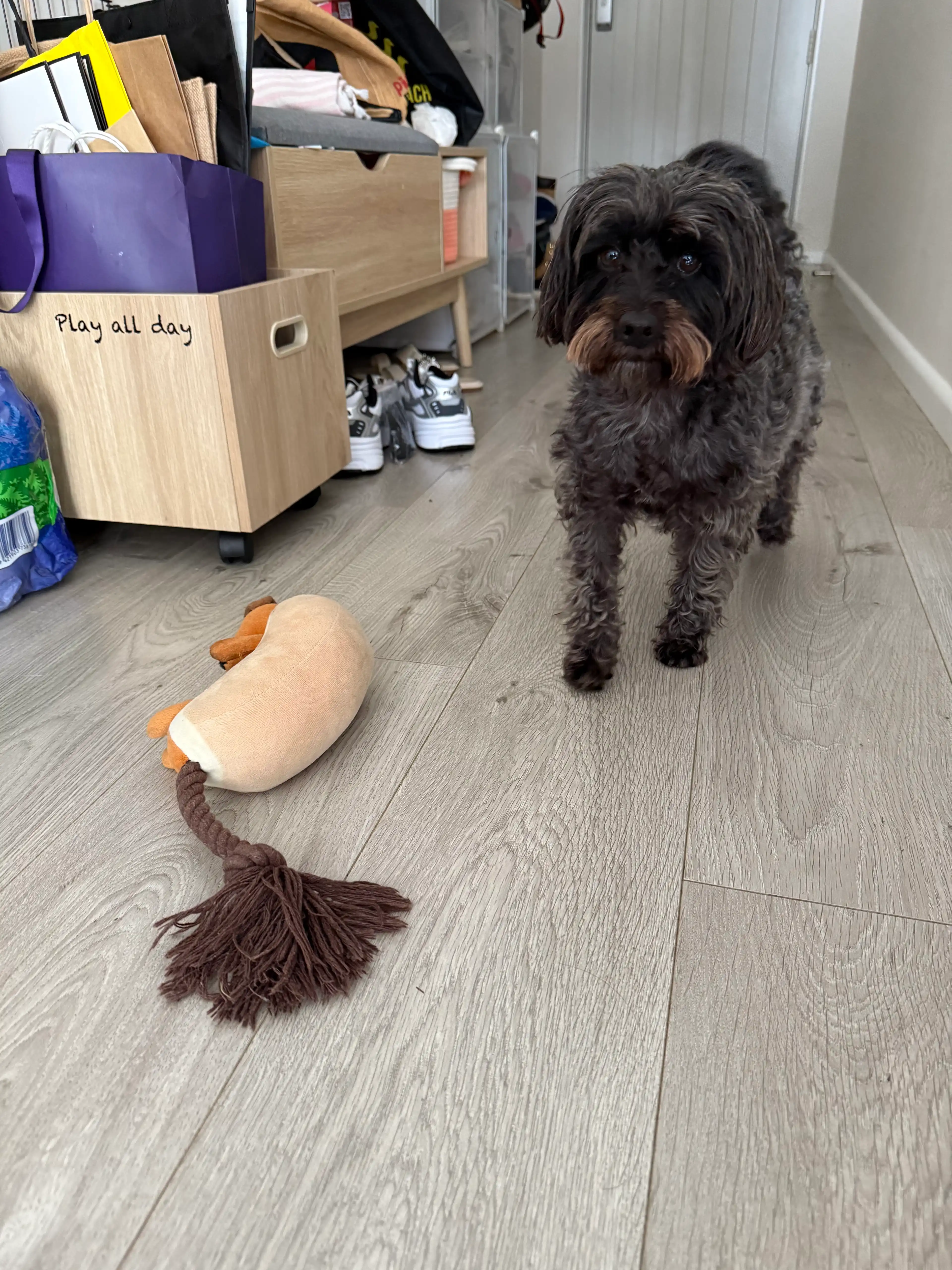 image-13