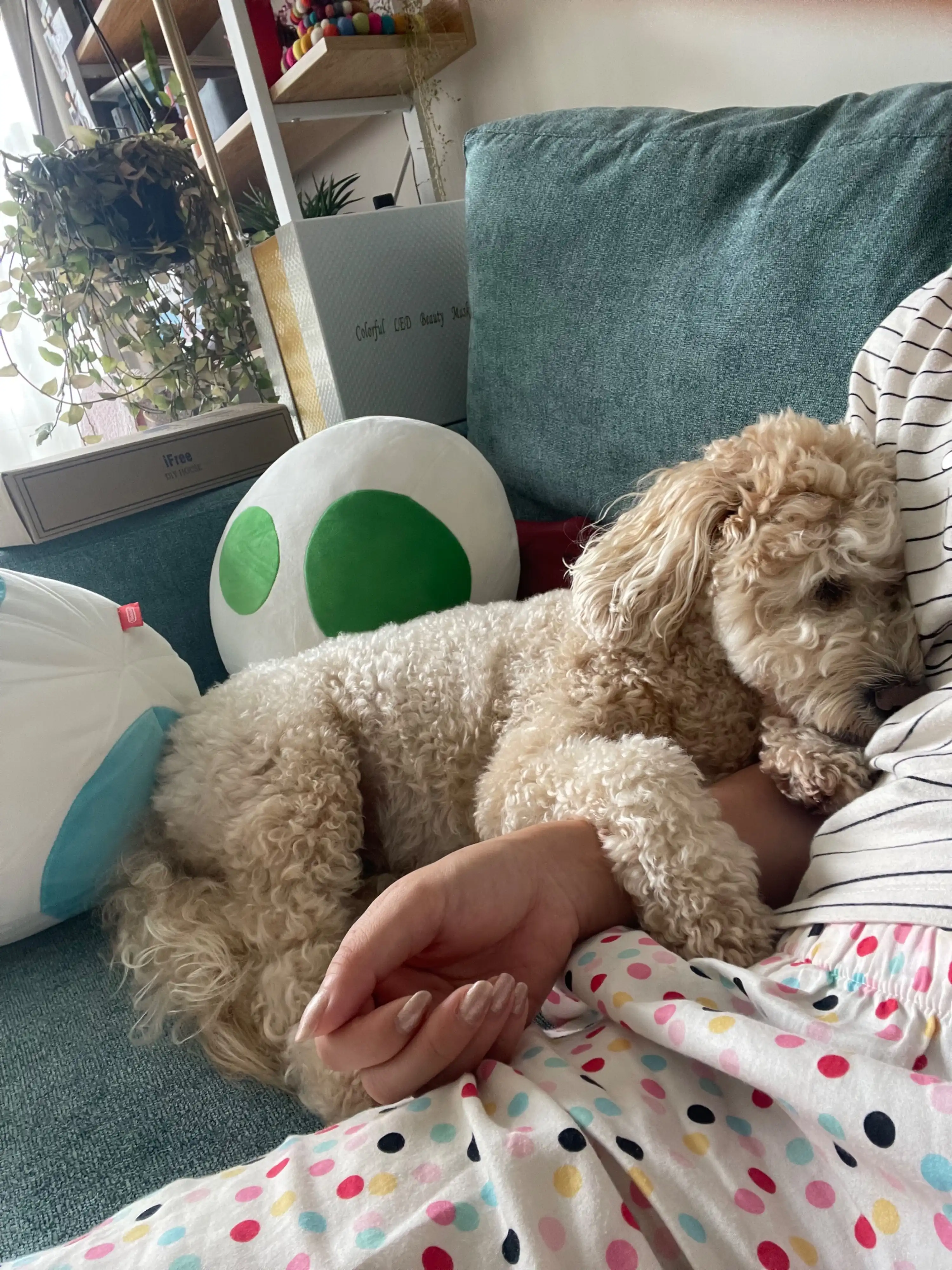 image-6