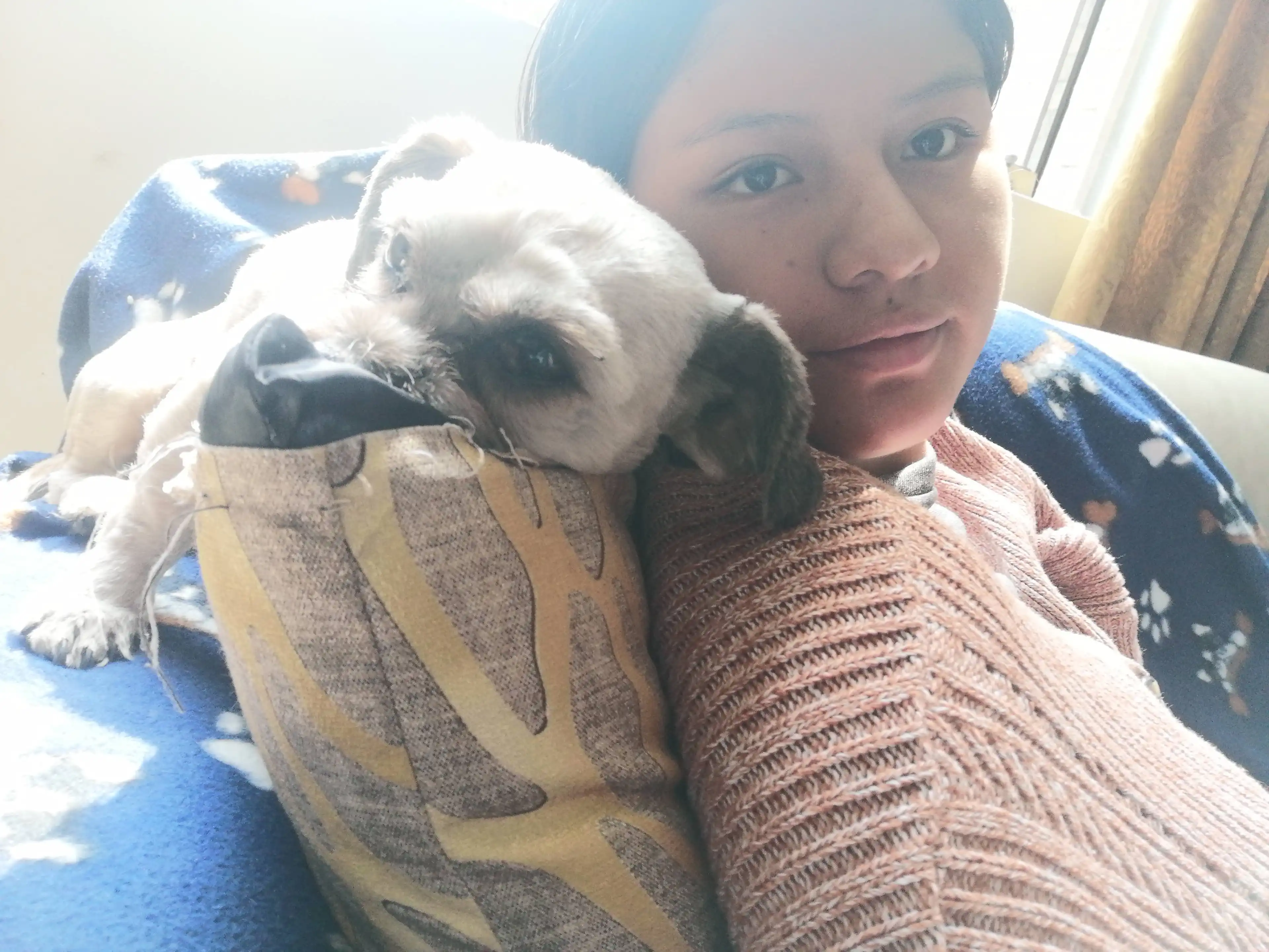 image-5