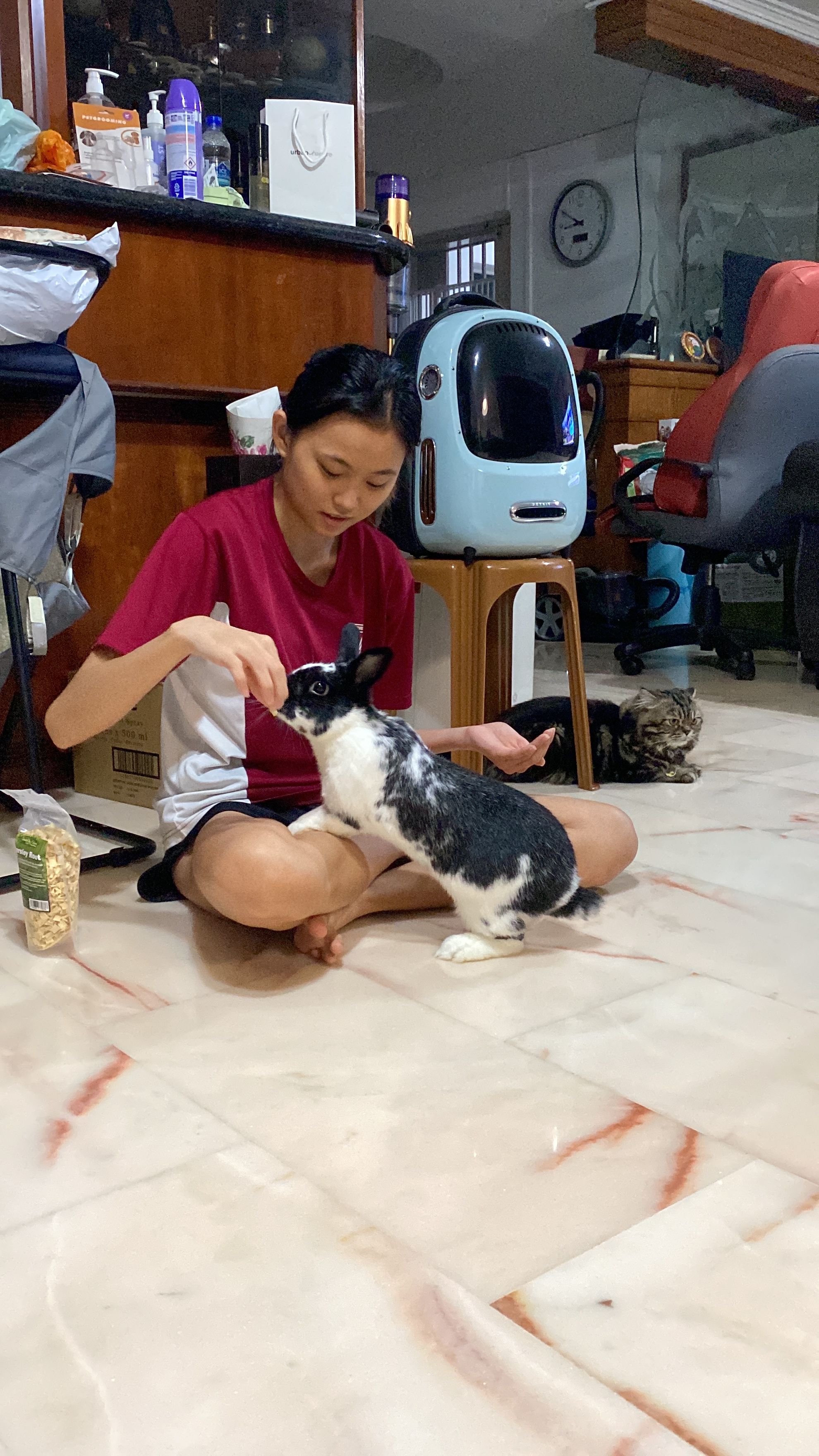 image-10