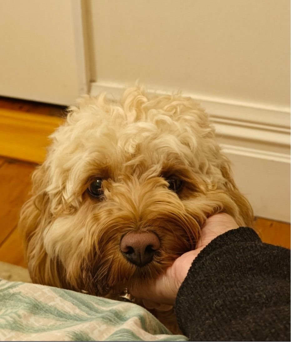 image-14