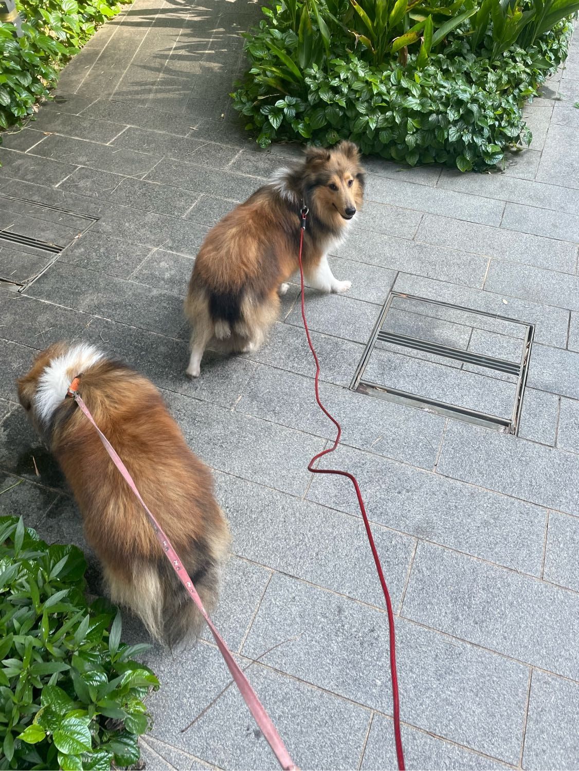 image-8
