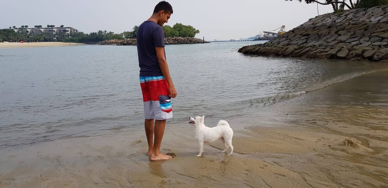 image-7