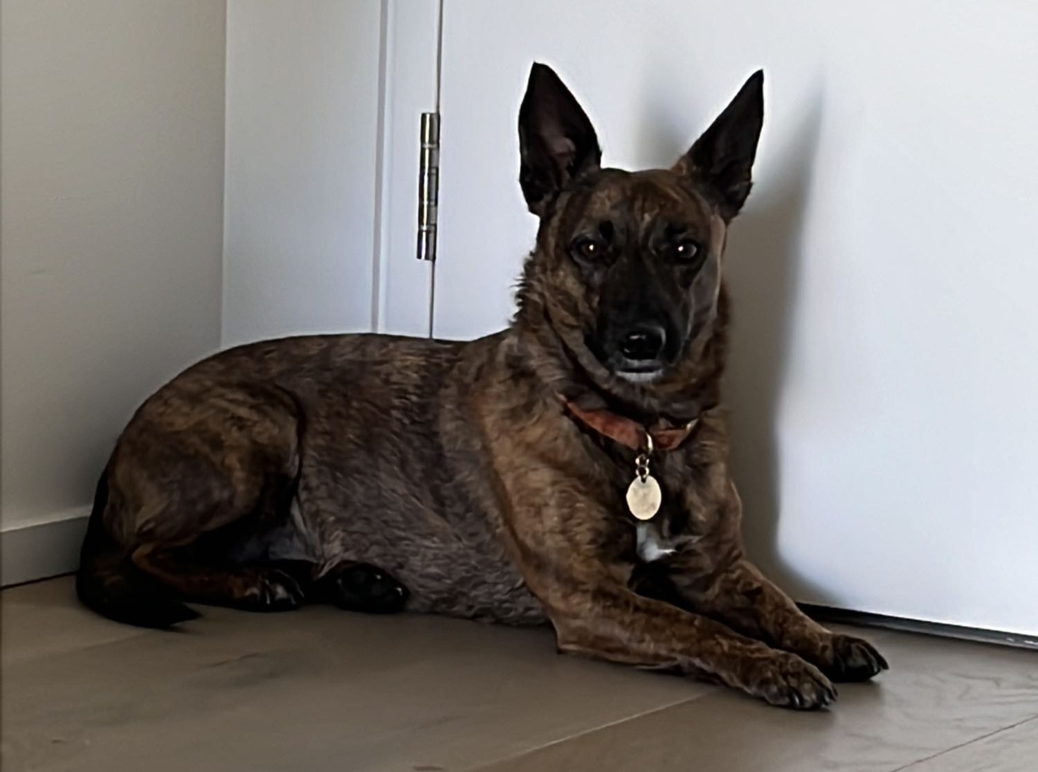 image-18