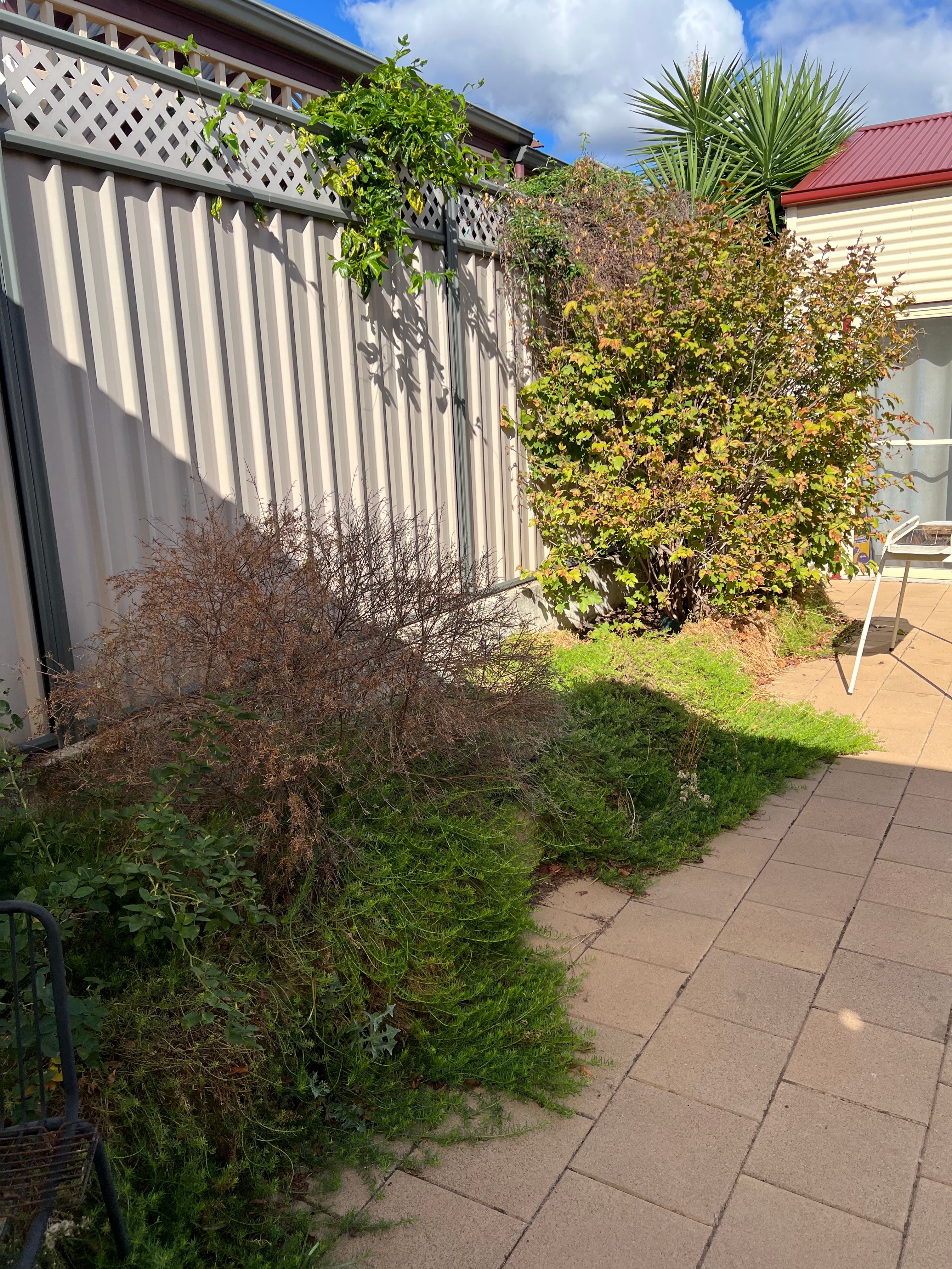 image-20
