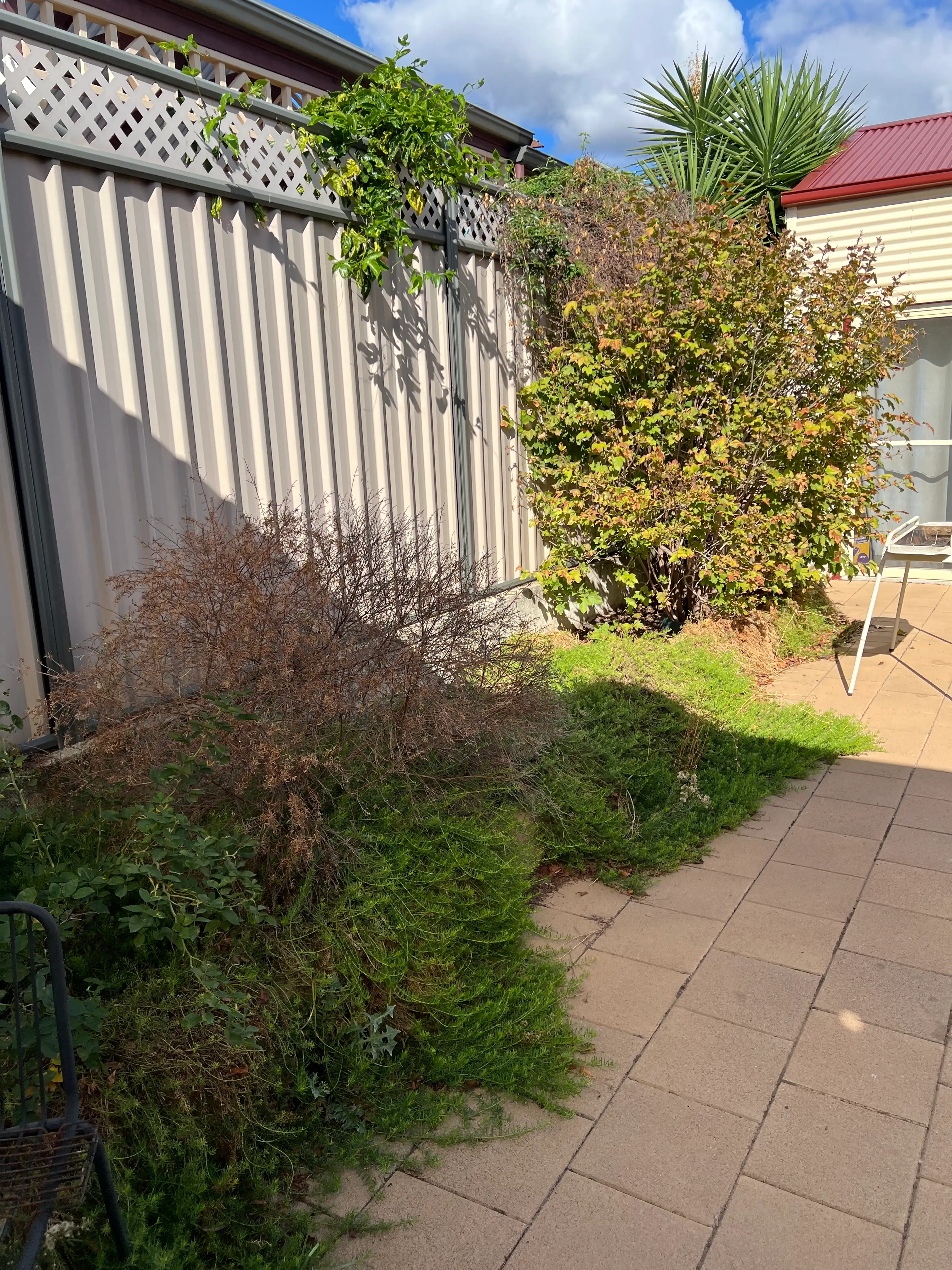 image-20