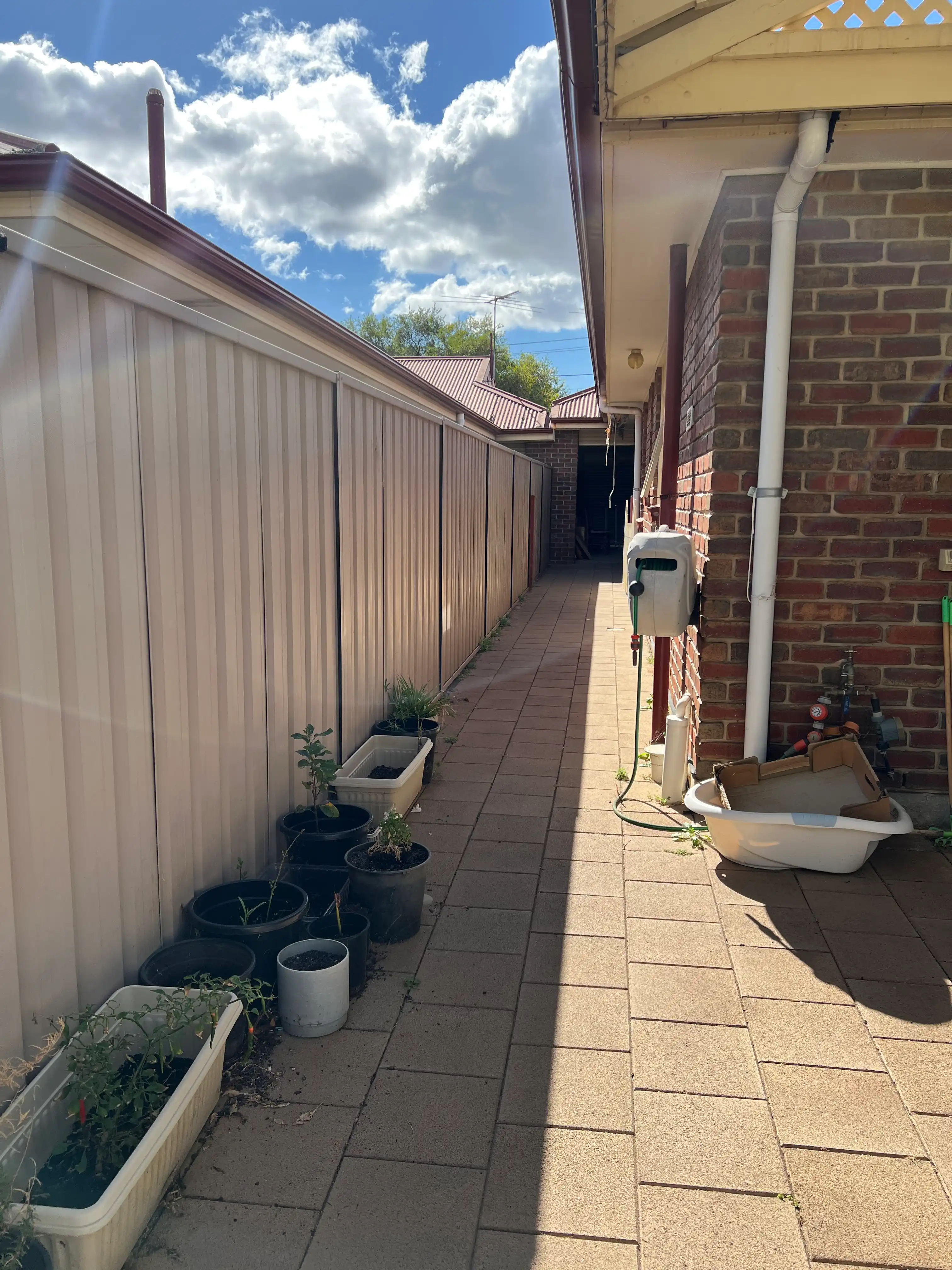 image-18