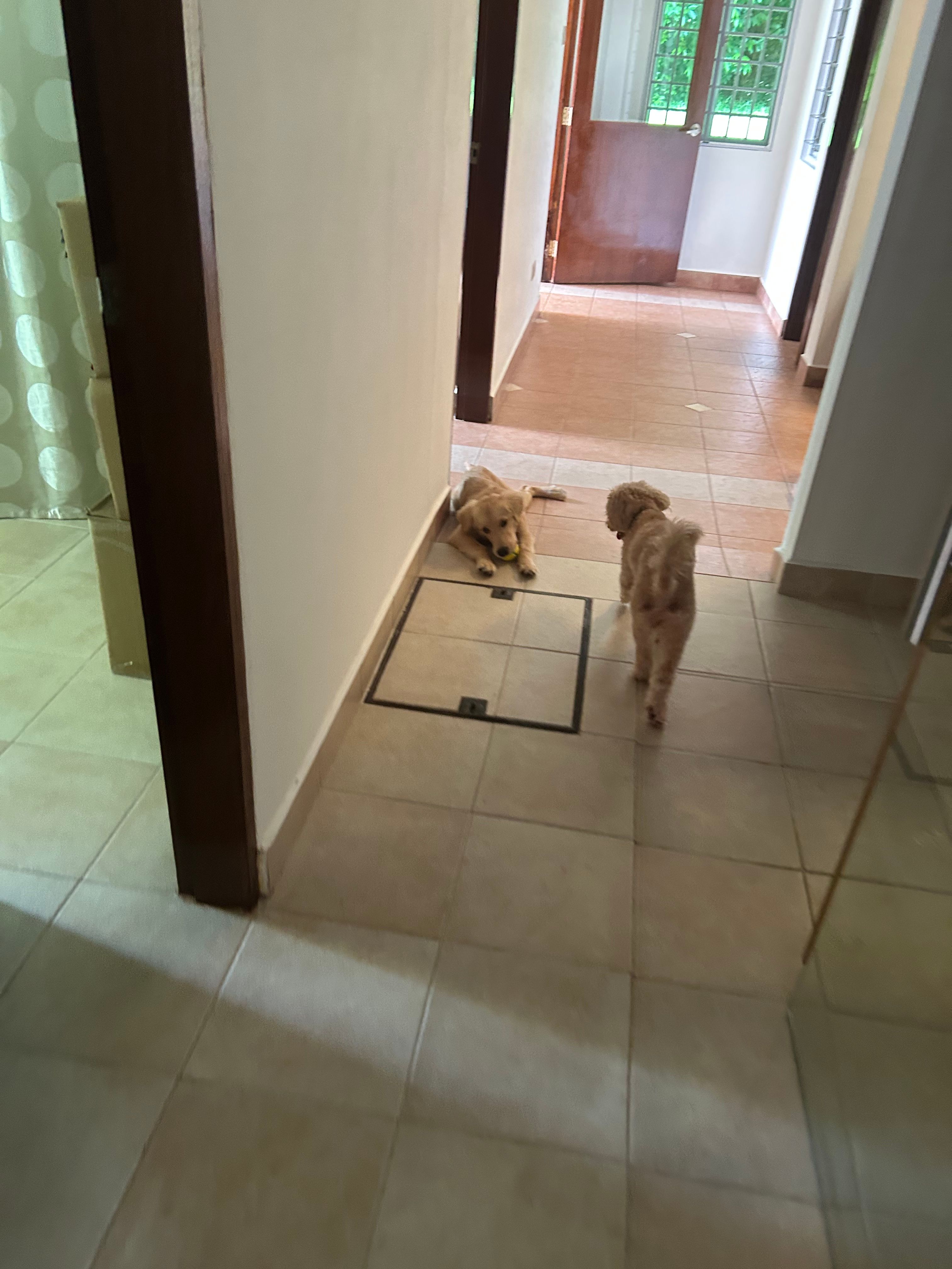 image-18