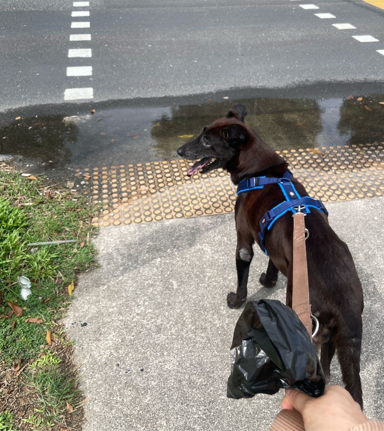 image-4