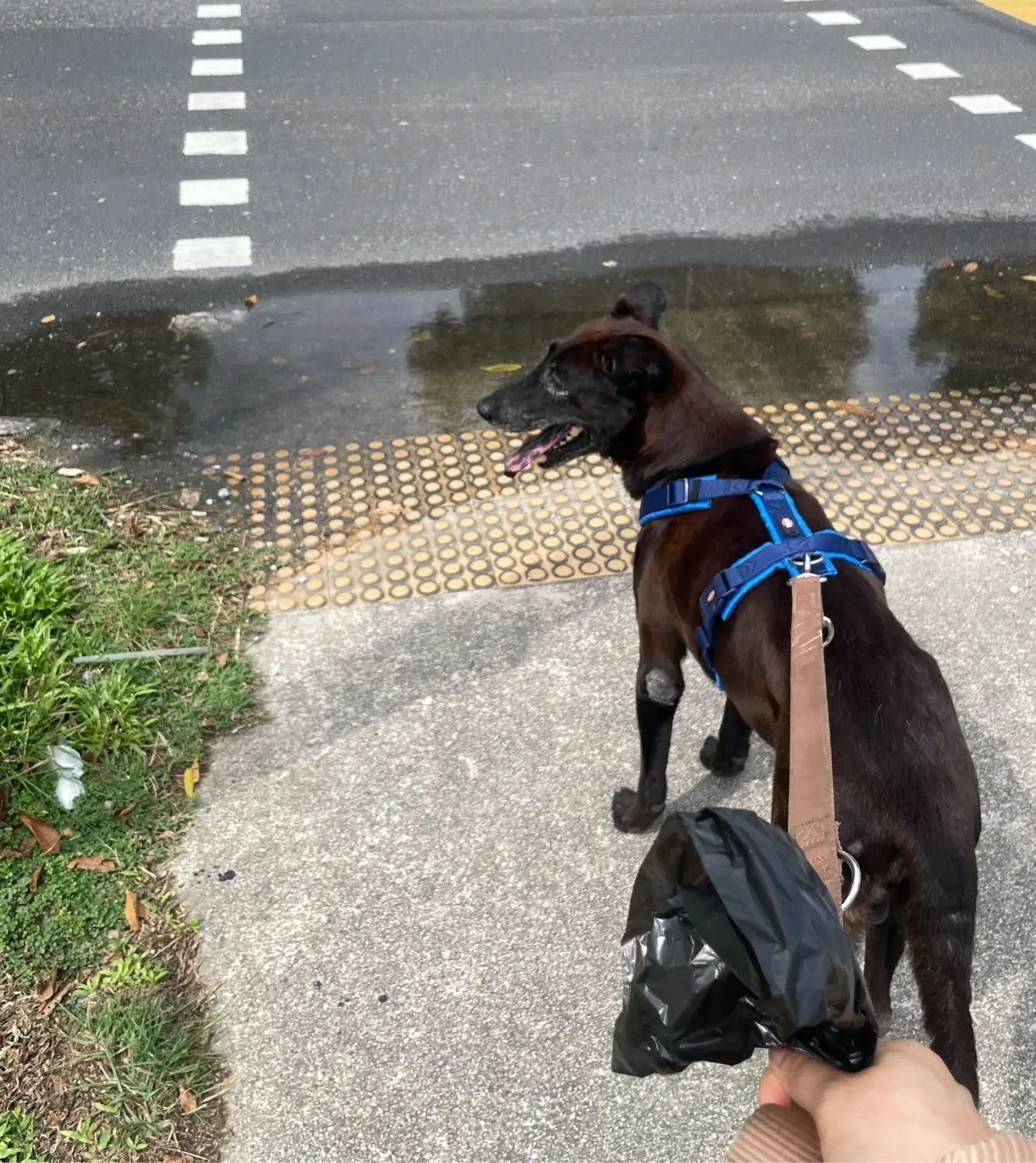 image-4