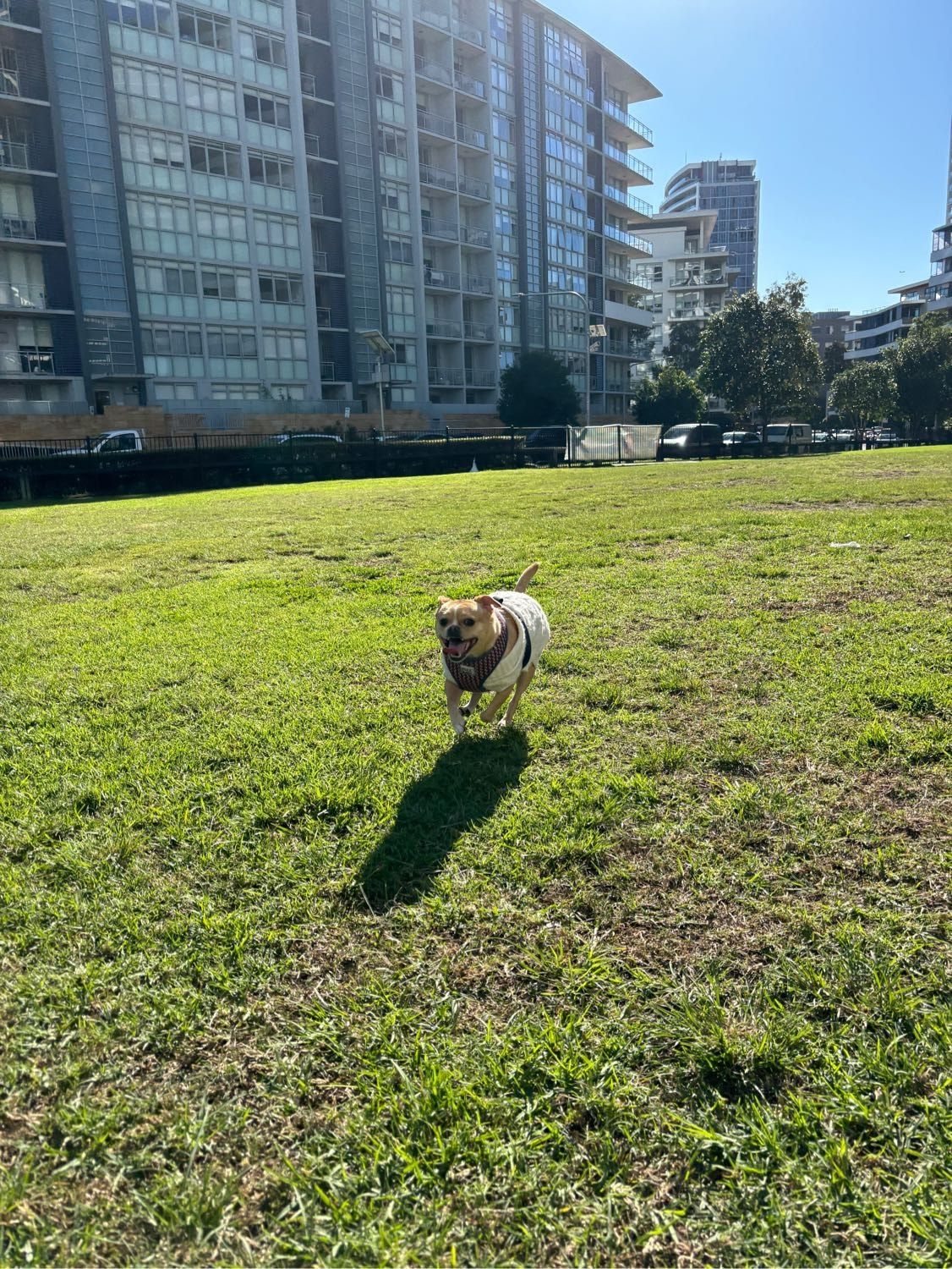 image-7