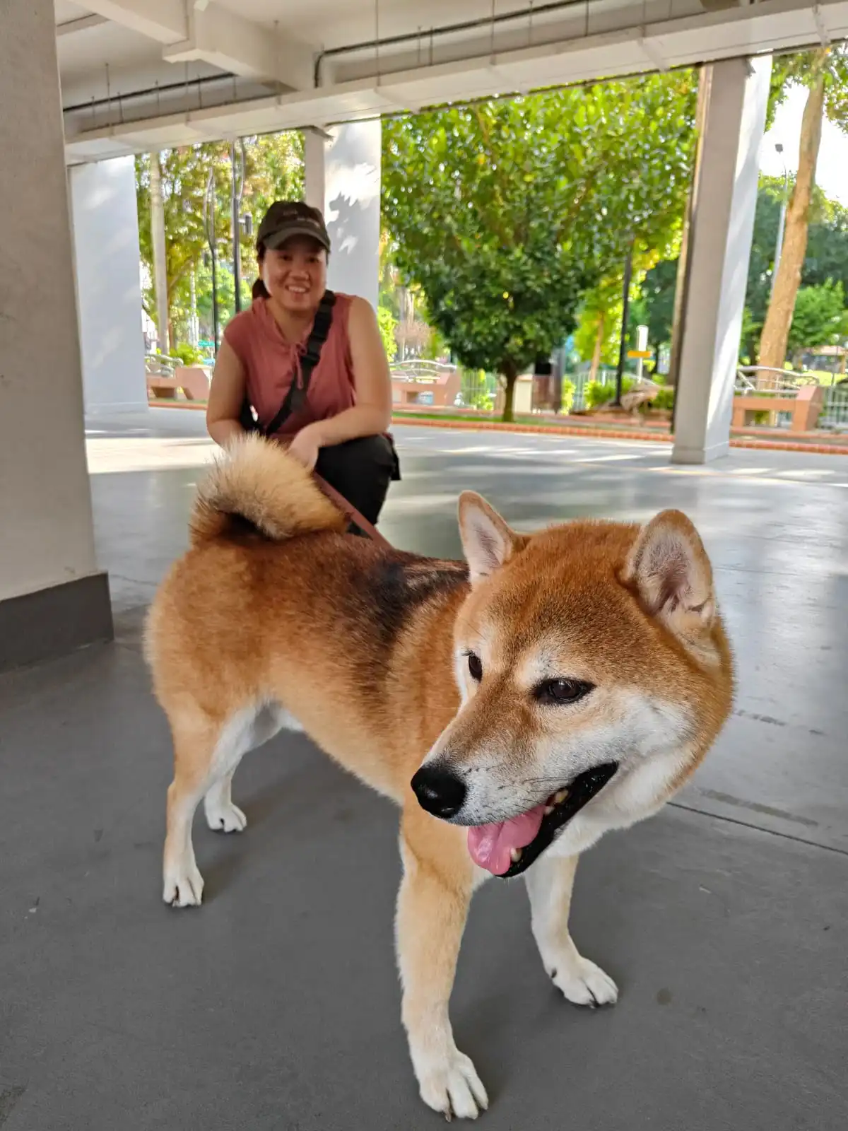 image-12