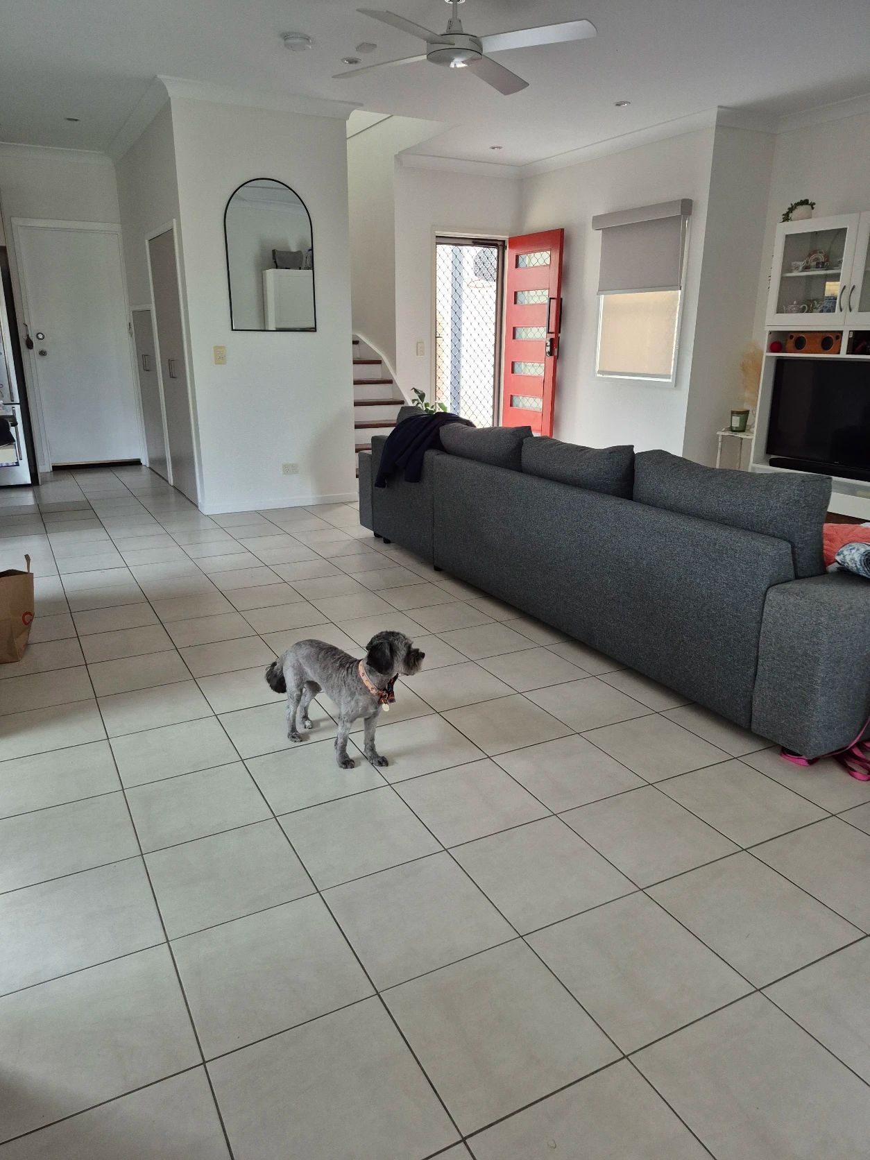 image-19
