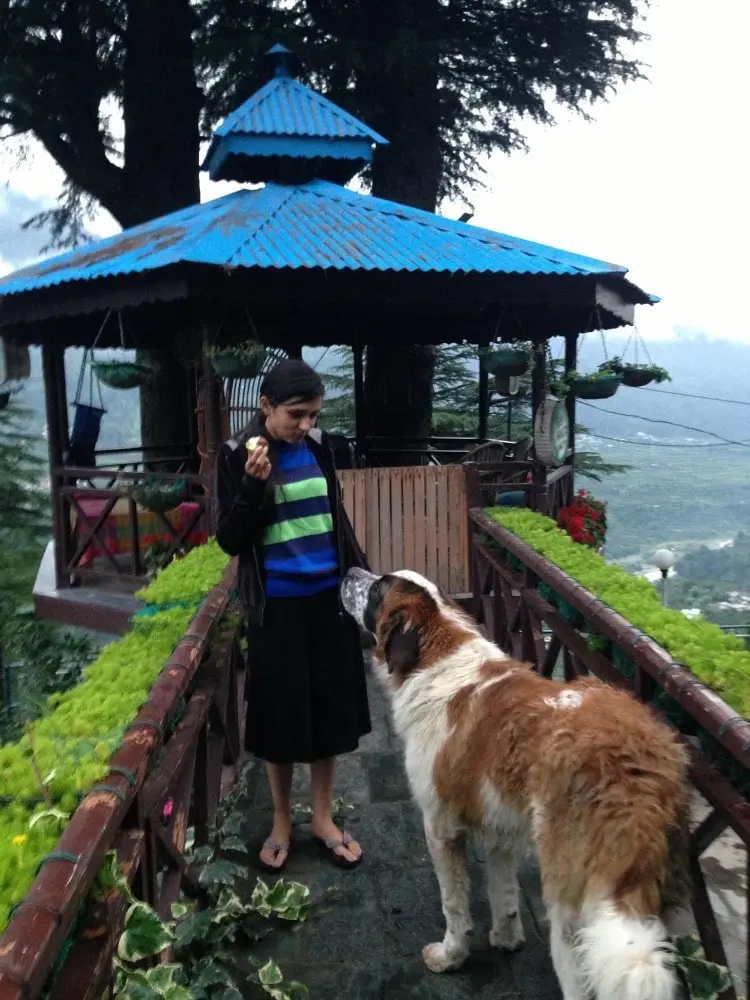 image-3