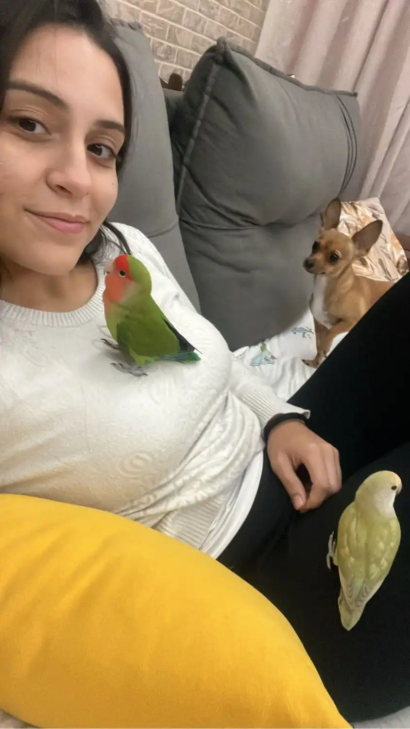 image-6