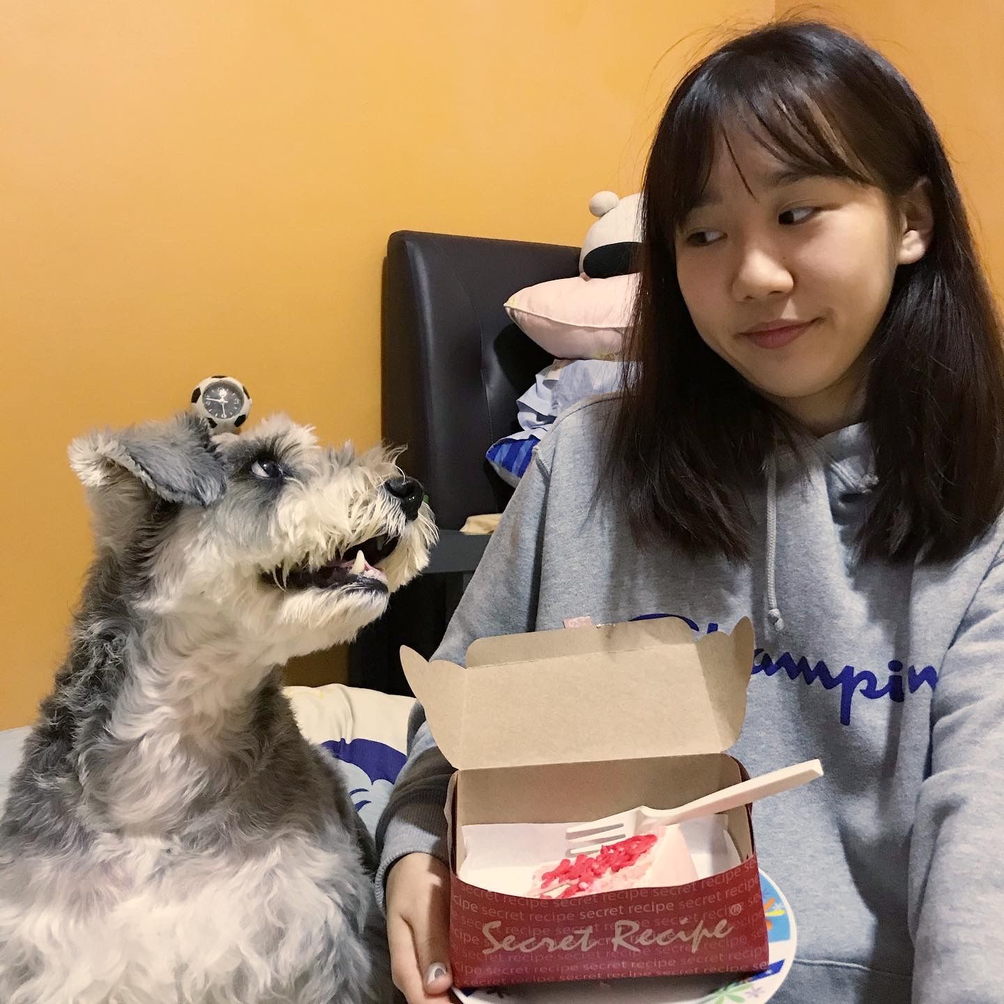 image-8