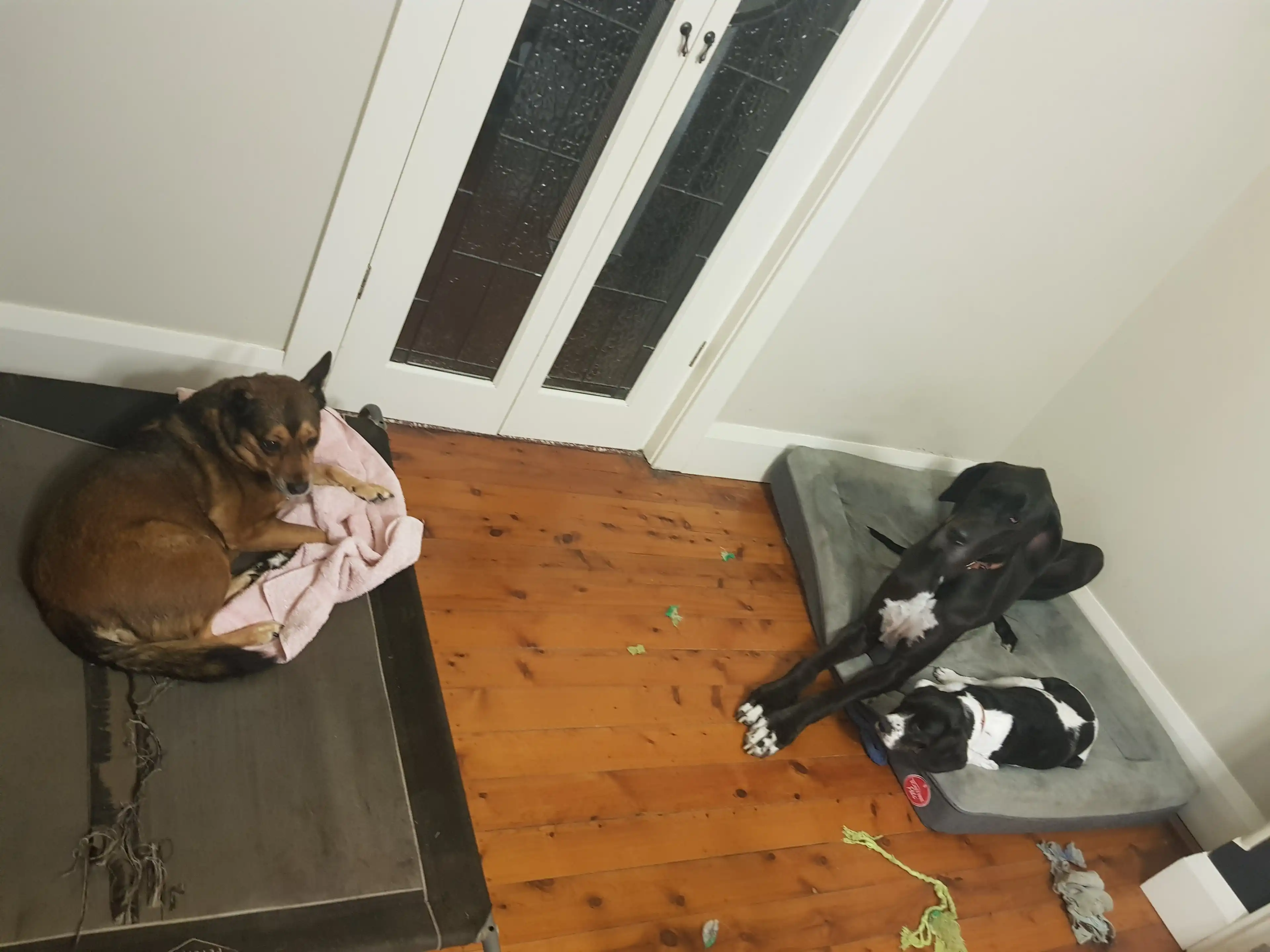 image-13