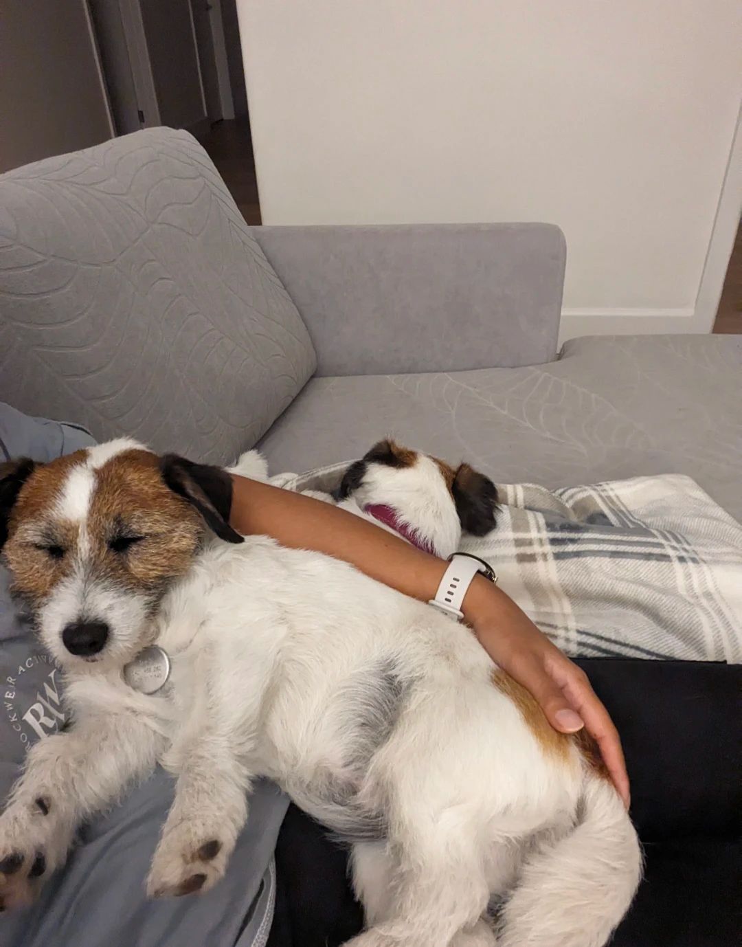 image-10