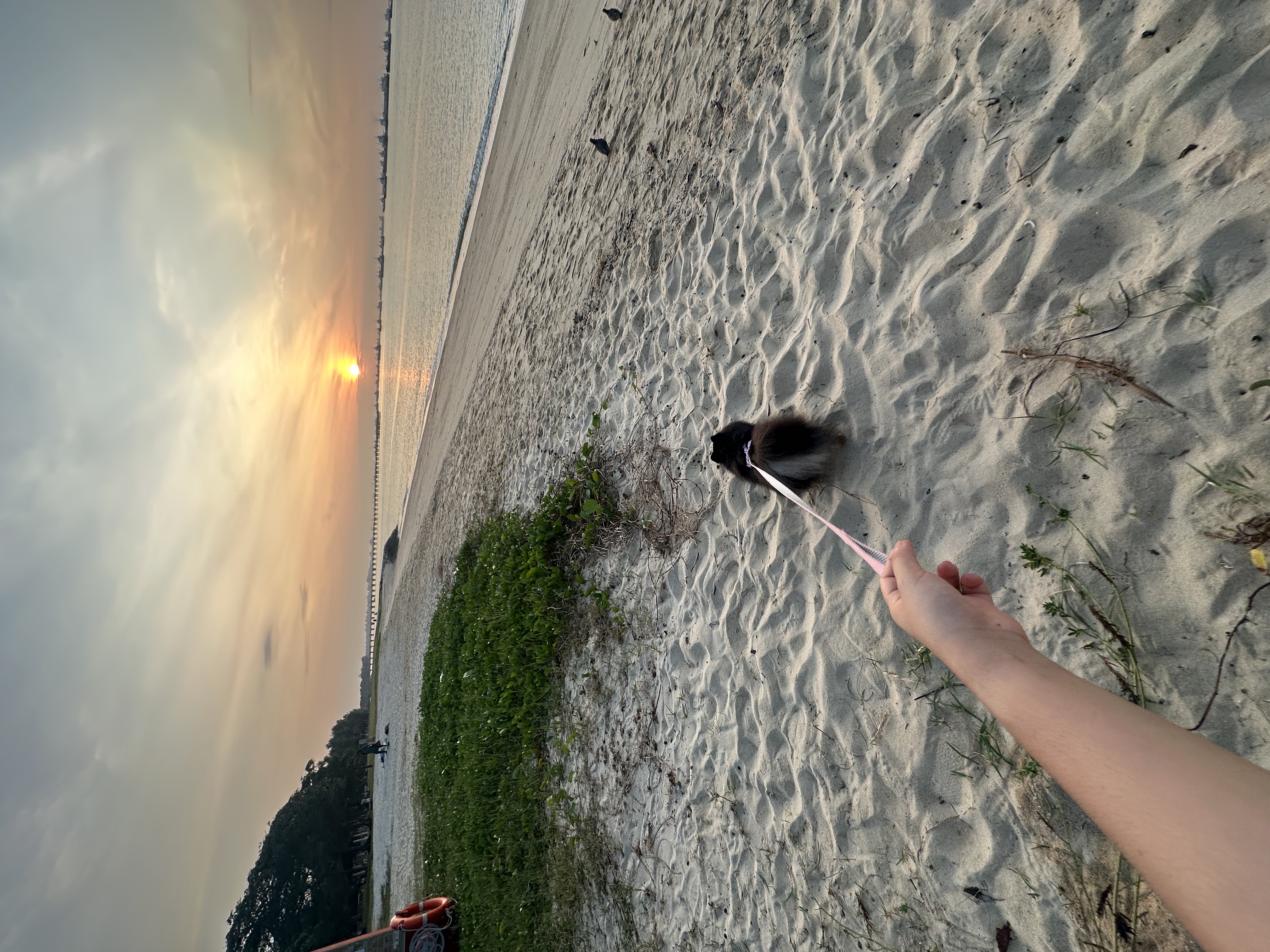 image-8