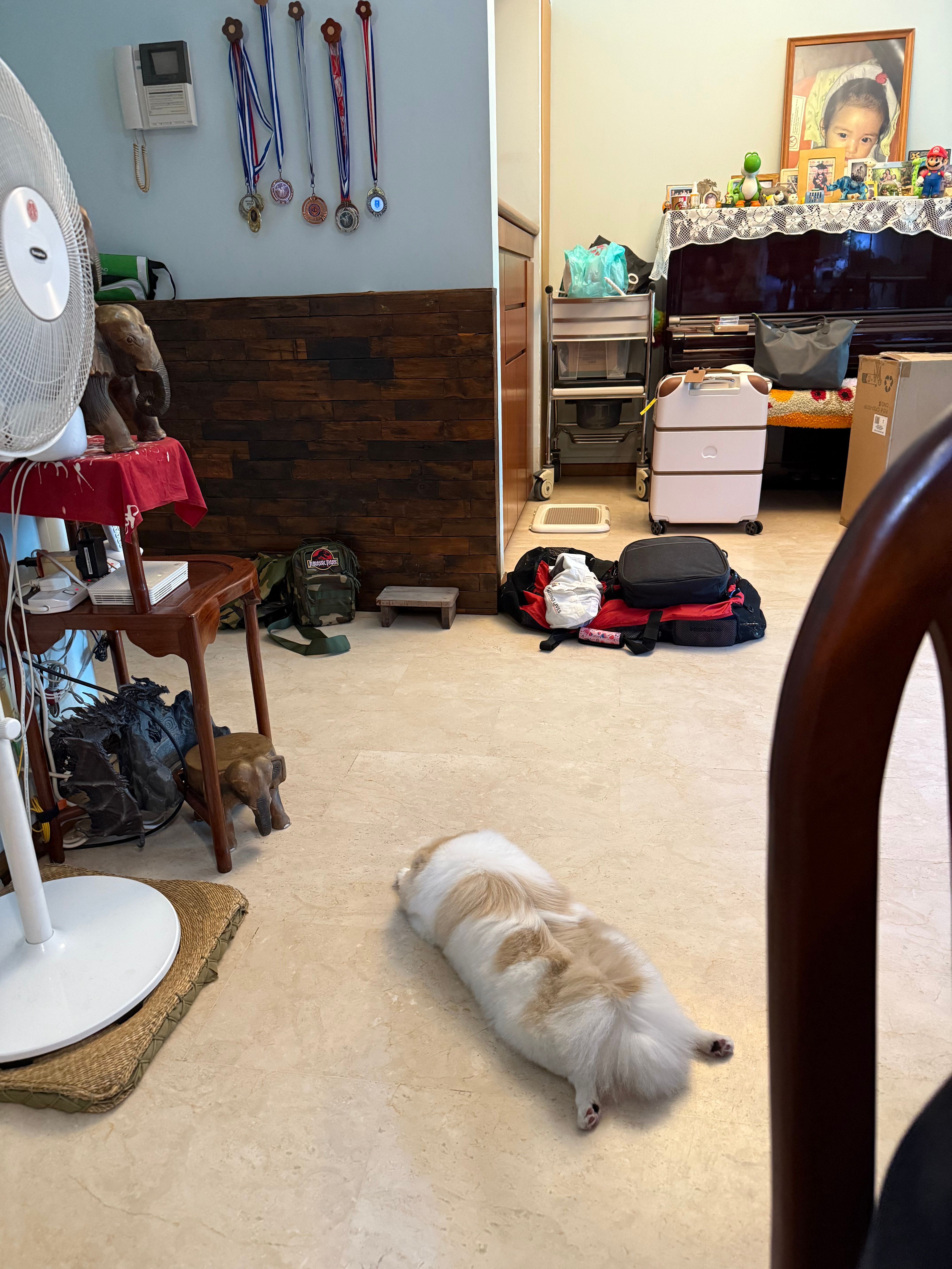 image-11