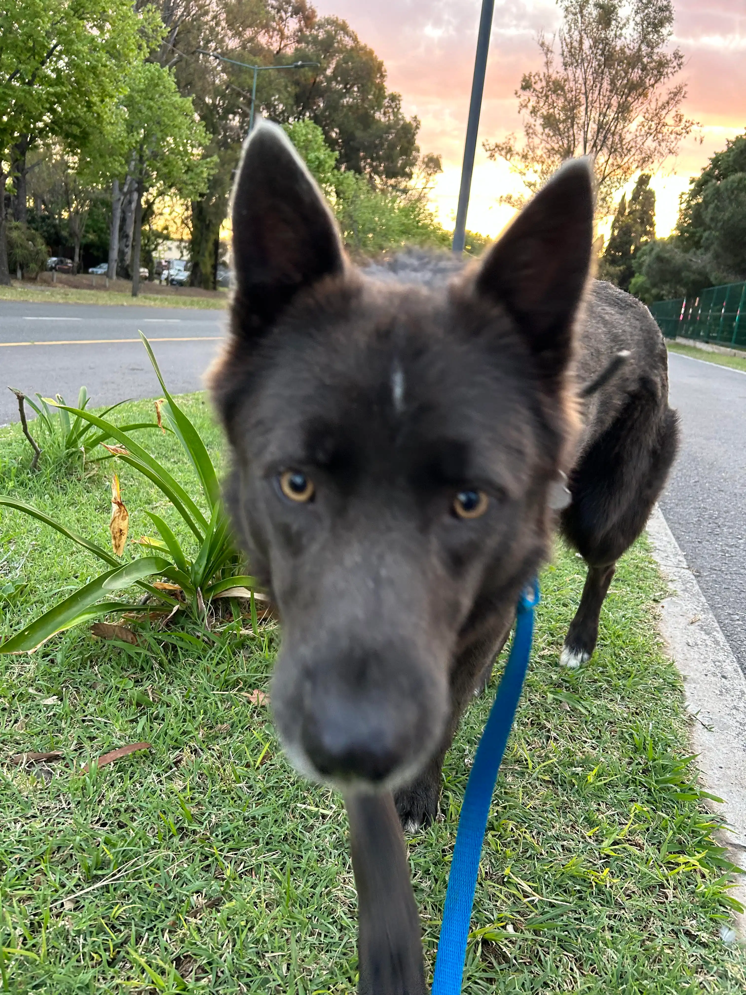 image-18