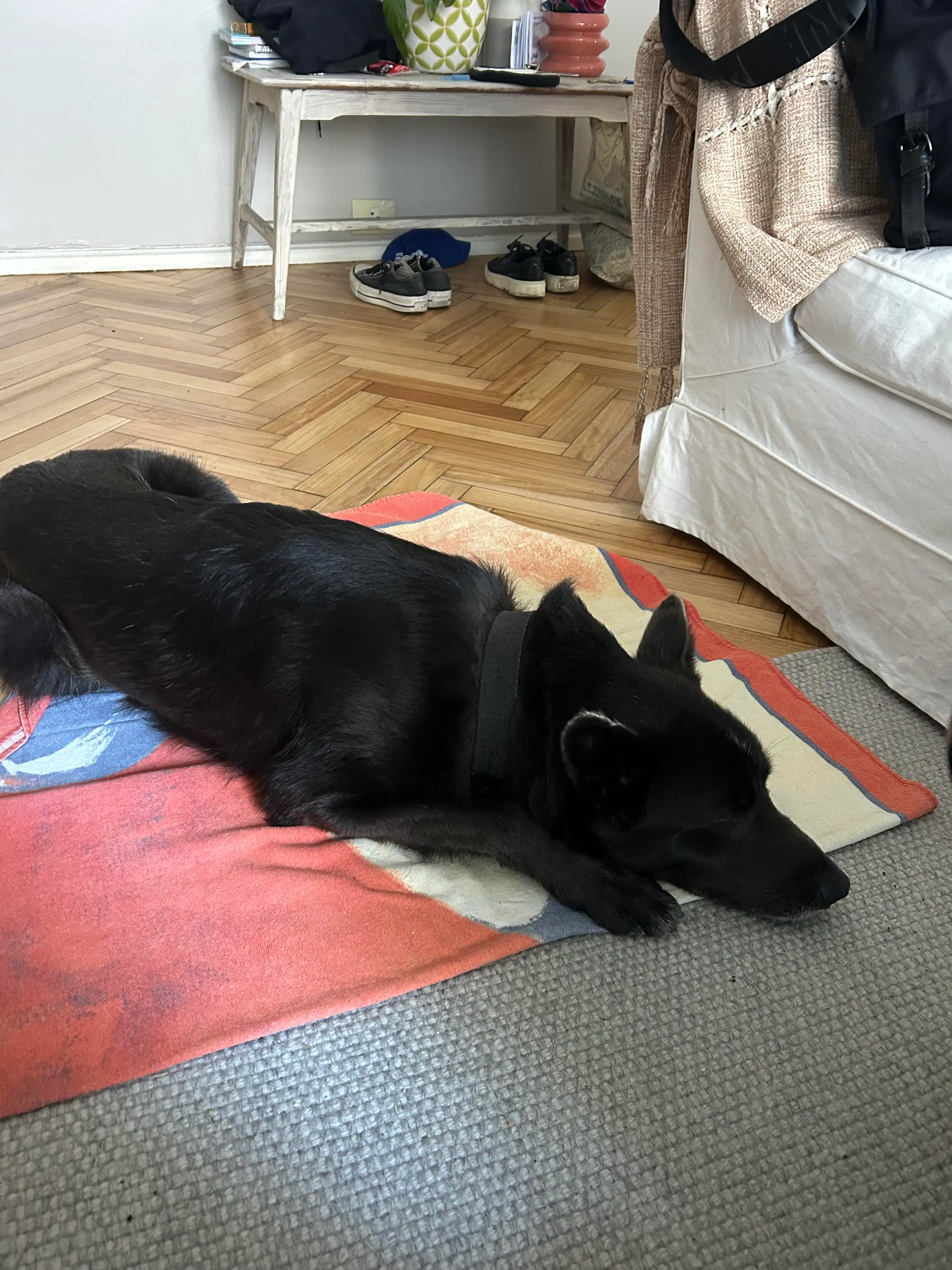 image-20