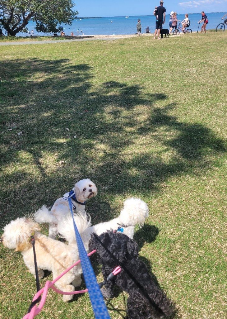 image-48